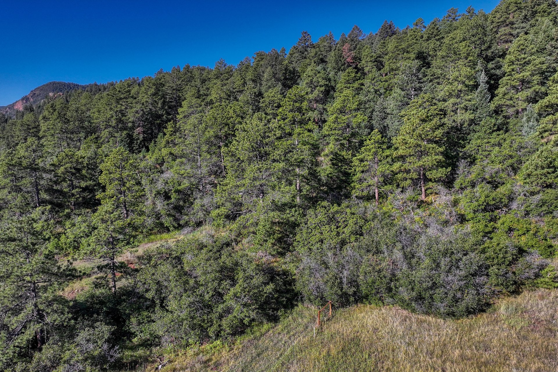 00 Columbine Road