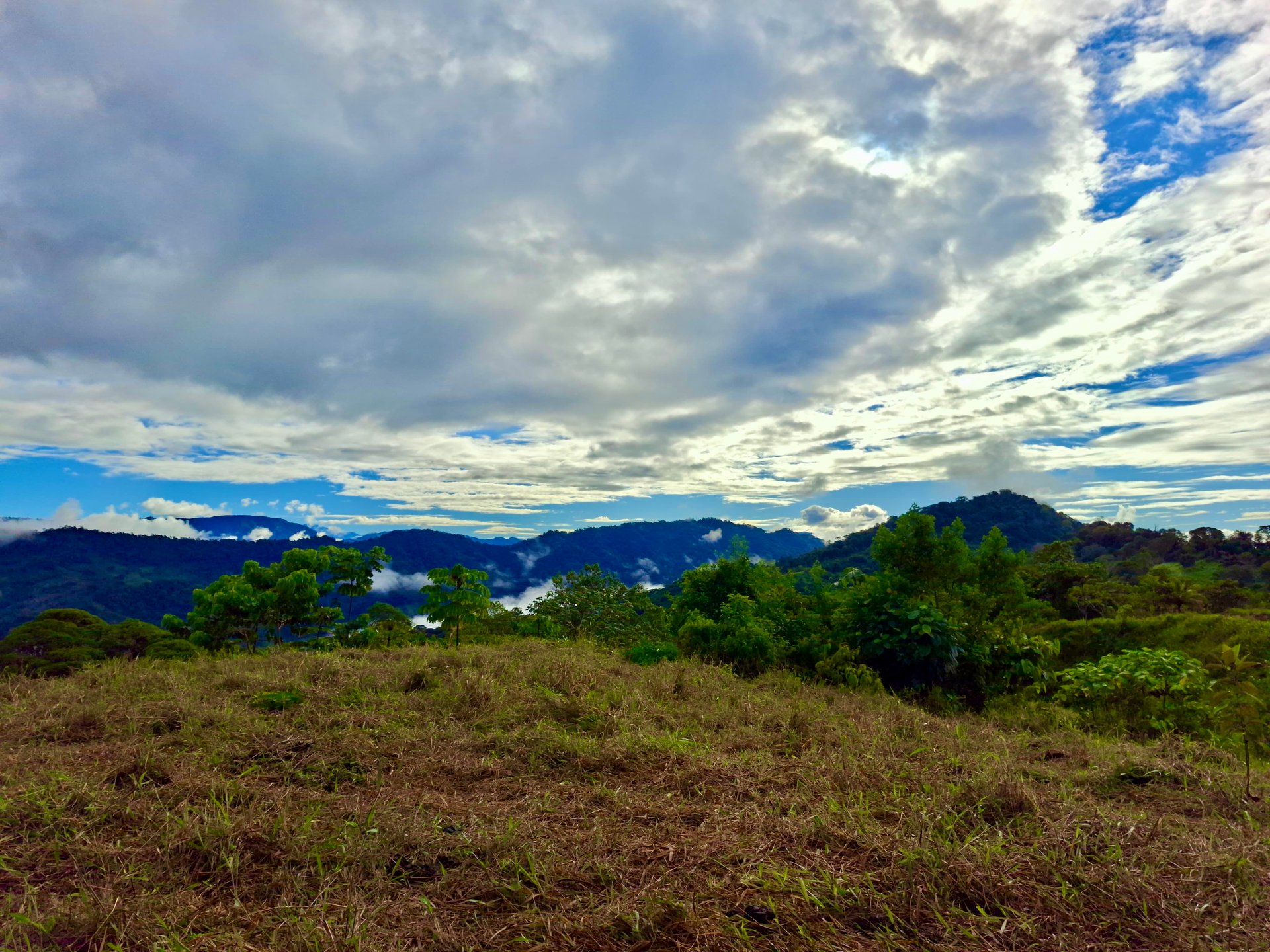 Off-Grid Ocean View Lot | 1.7 Acres in Las Nubes Matapalo Hills 