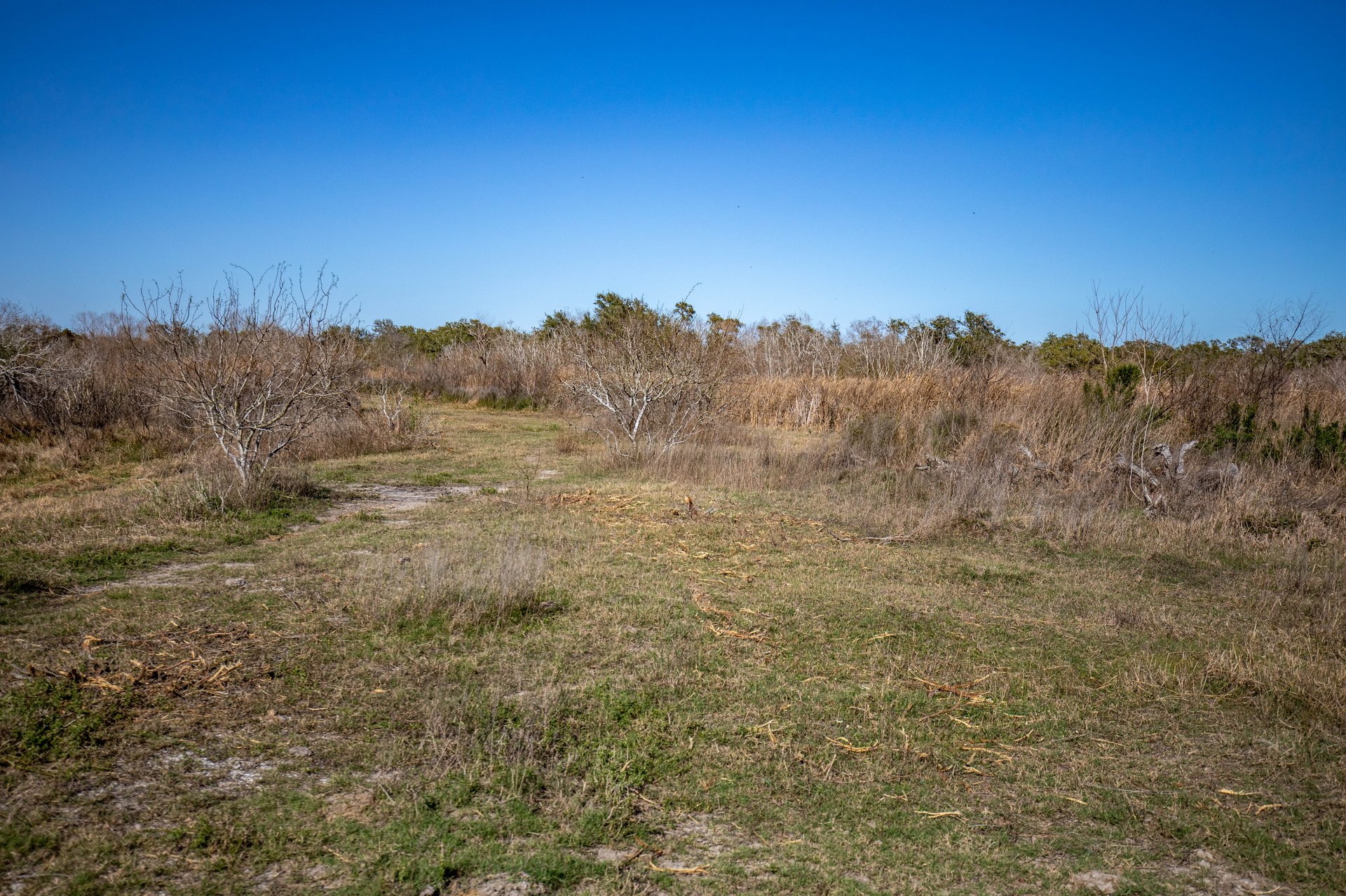 Lamar Peninsula Development Tract |  51.81± Acres | Aransas County