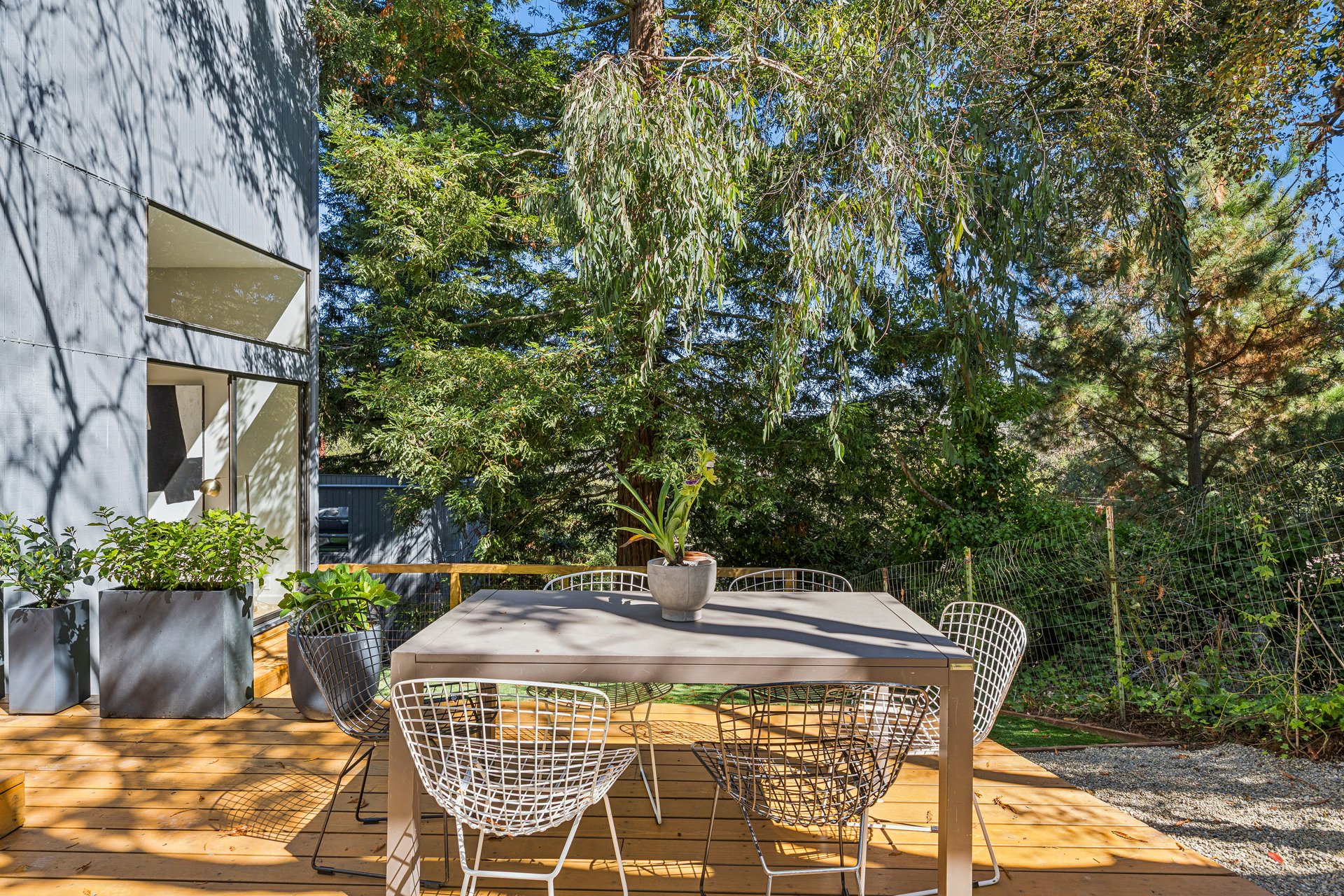 Contemporary Berkeley Hills Treehouse