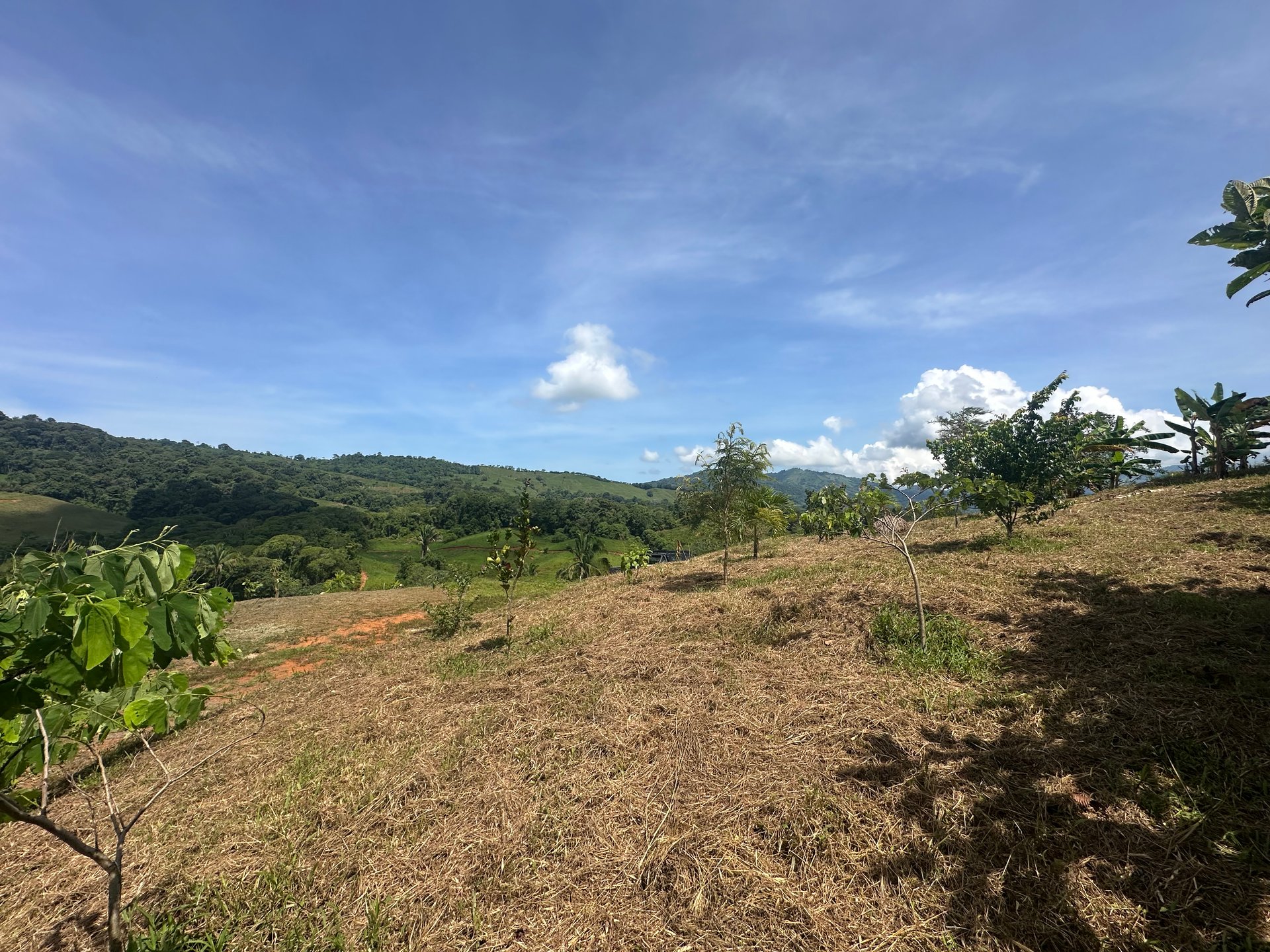 8.78 Acres Mountain View Estate with Water, Infrastructure & Endless Development Potential | Platanillo de Barú, Costa Rica