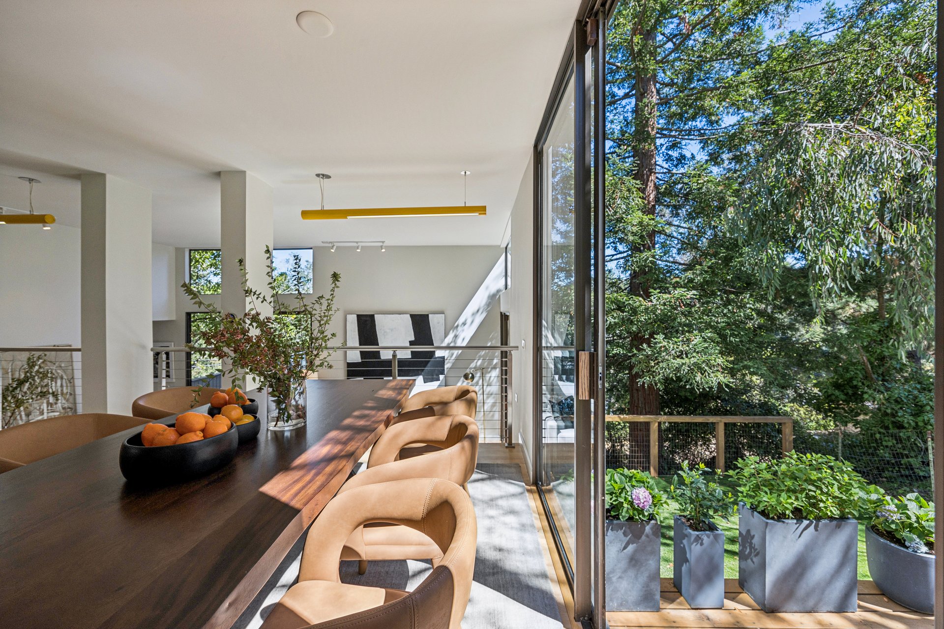 Contemporary Berkeley Hills Treehouse