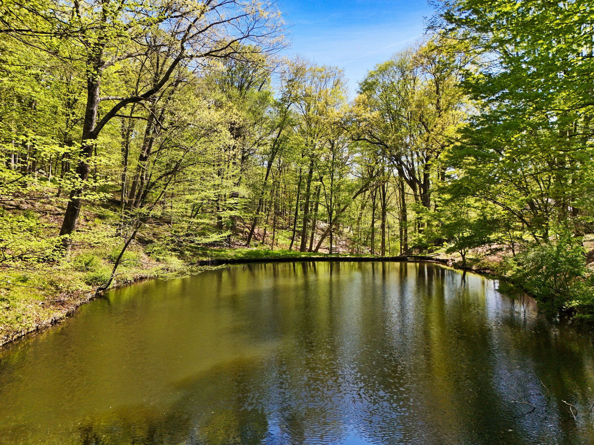 334 Pine Brook Road