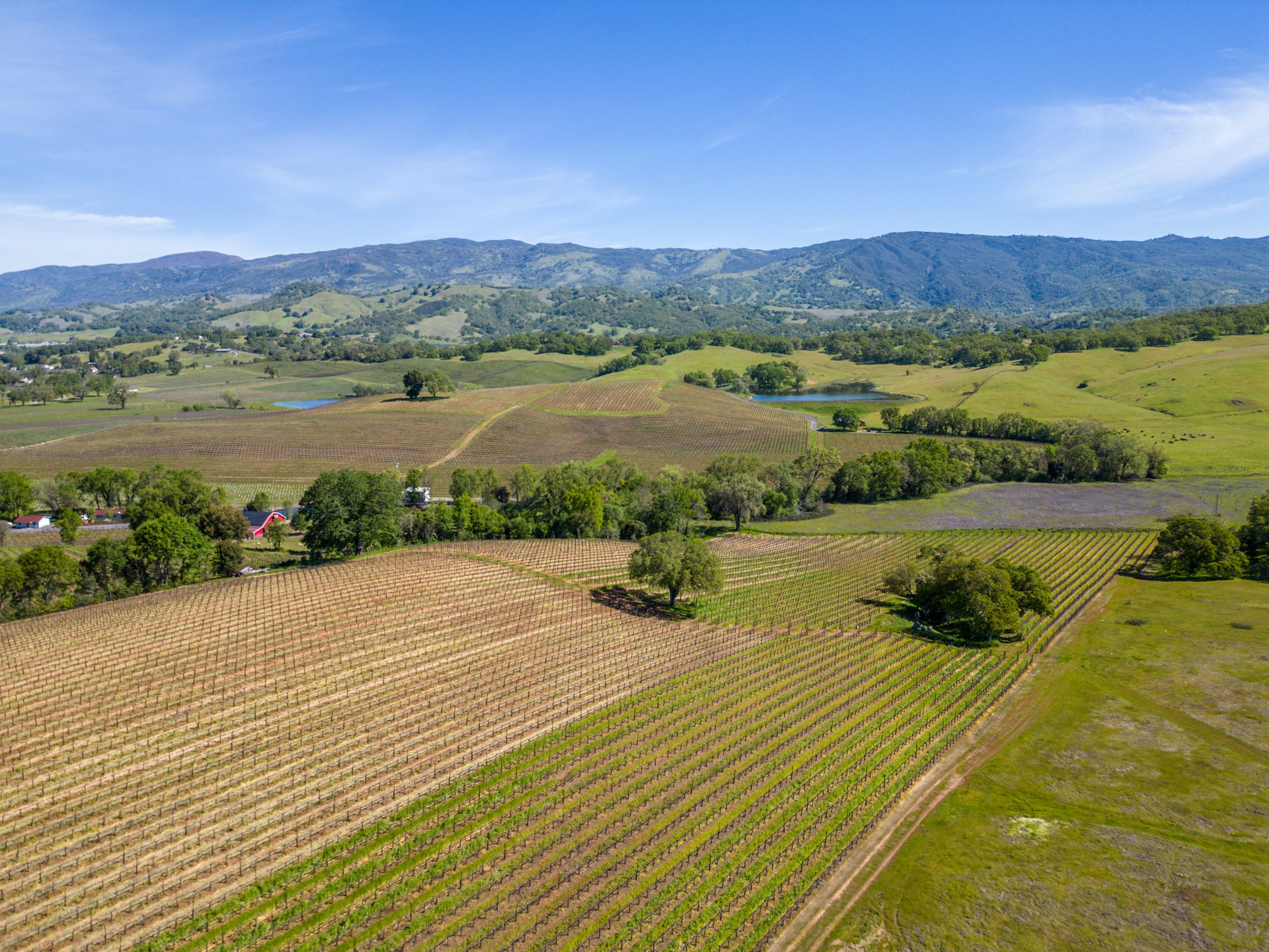The Hopland Hills Ranch