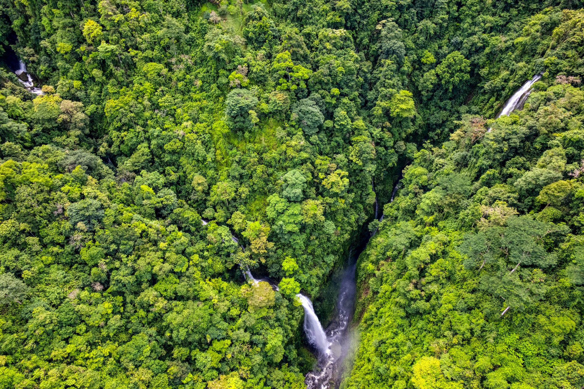 Once in a Lifetime Waterfall Farm in a Pristine Biological Corridor