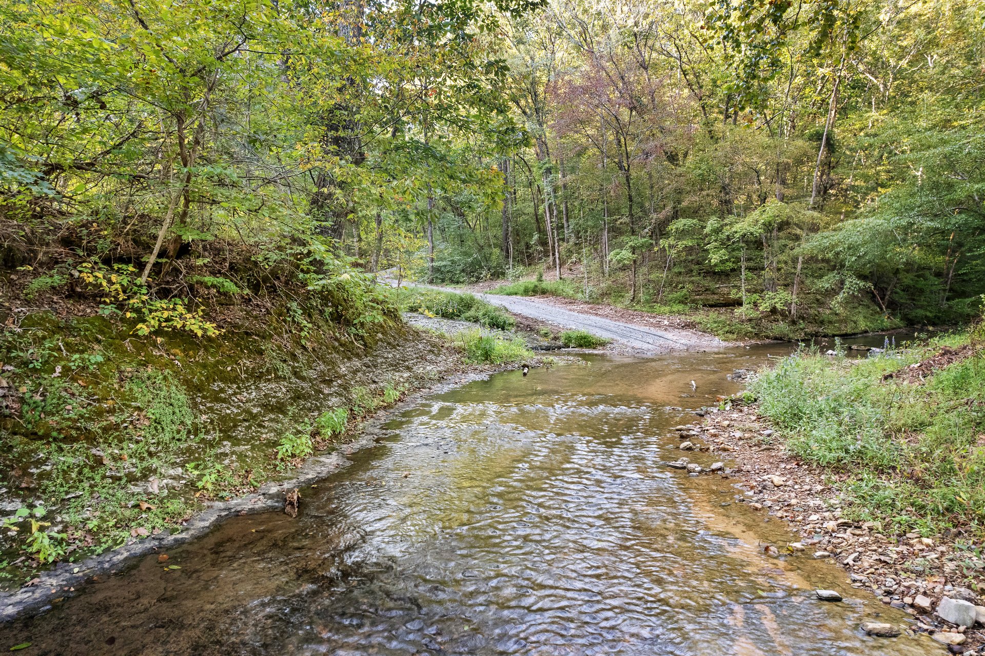 8192 Shoals Branch Road