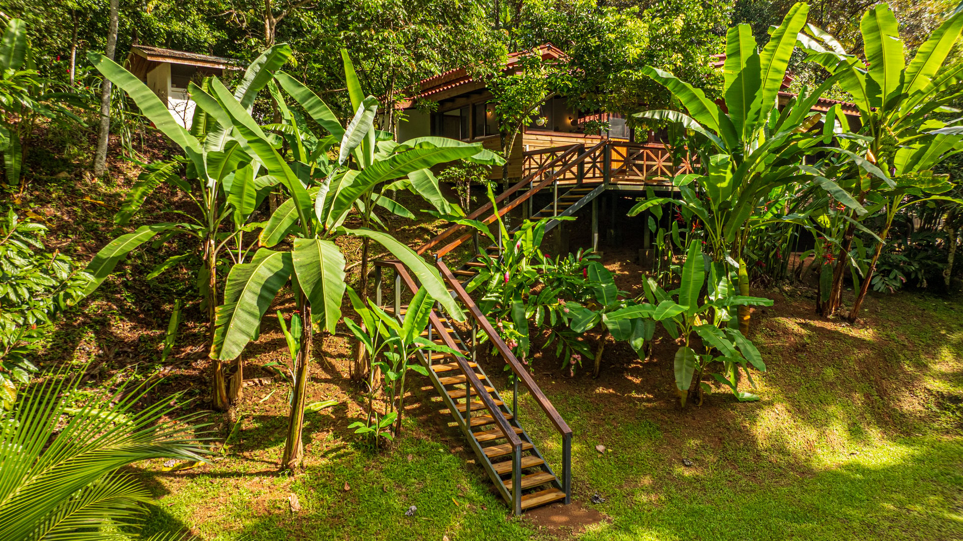 A Jungle House Built of Wood & River Dreams