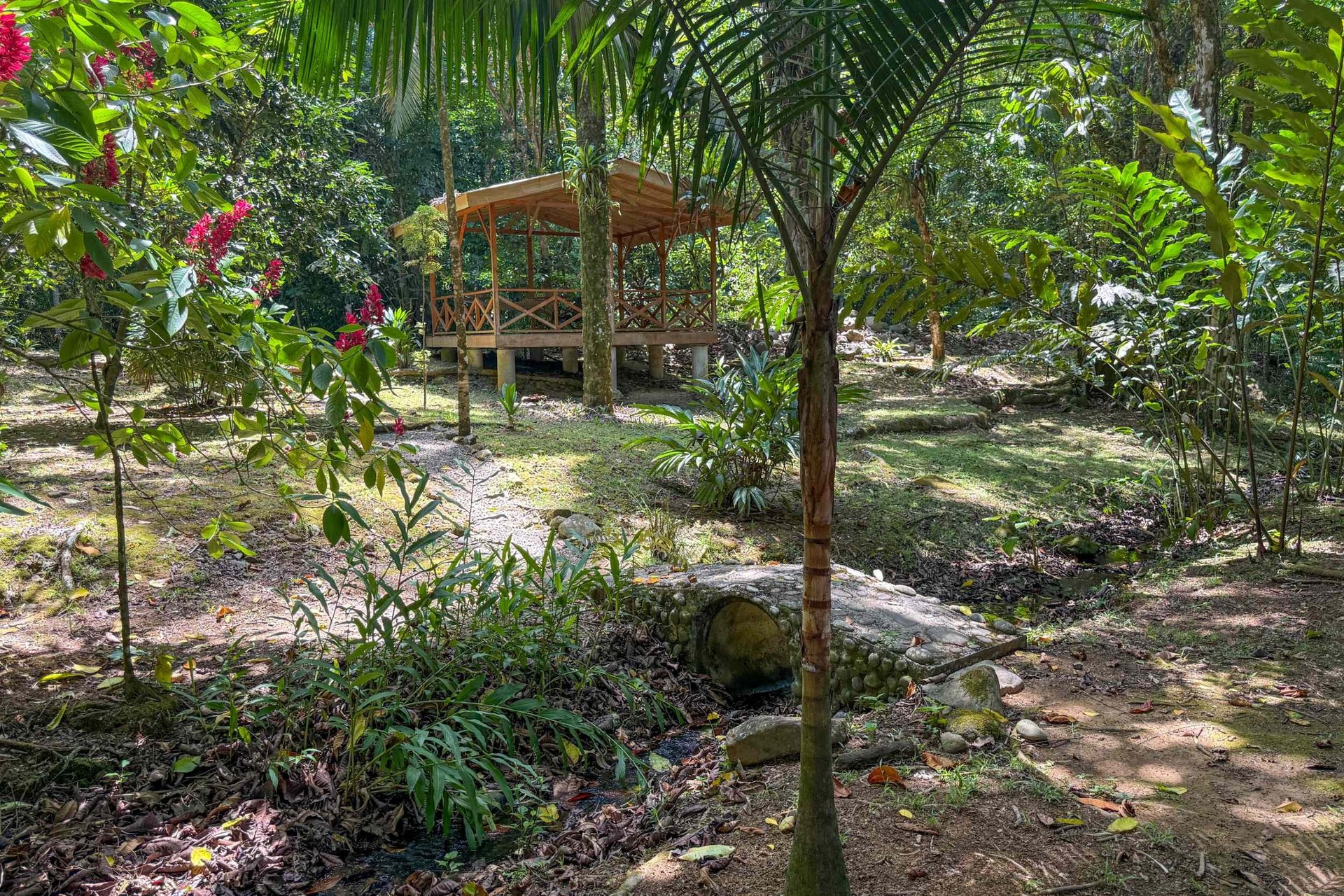  Gorgeous Jungle Hotel with 11 Beds including Owner/Manager Unit, Sparkling Pool & River Setting in Ojochal Costa Rica