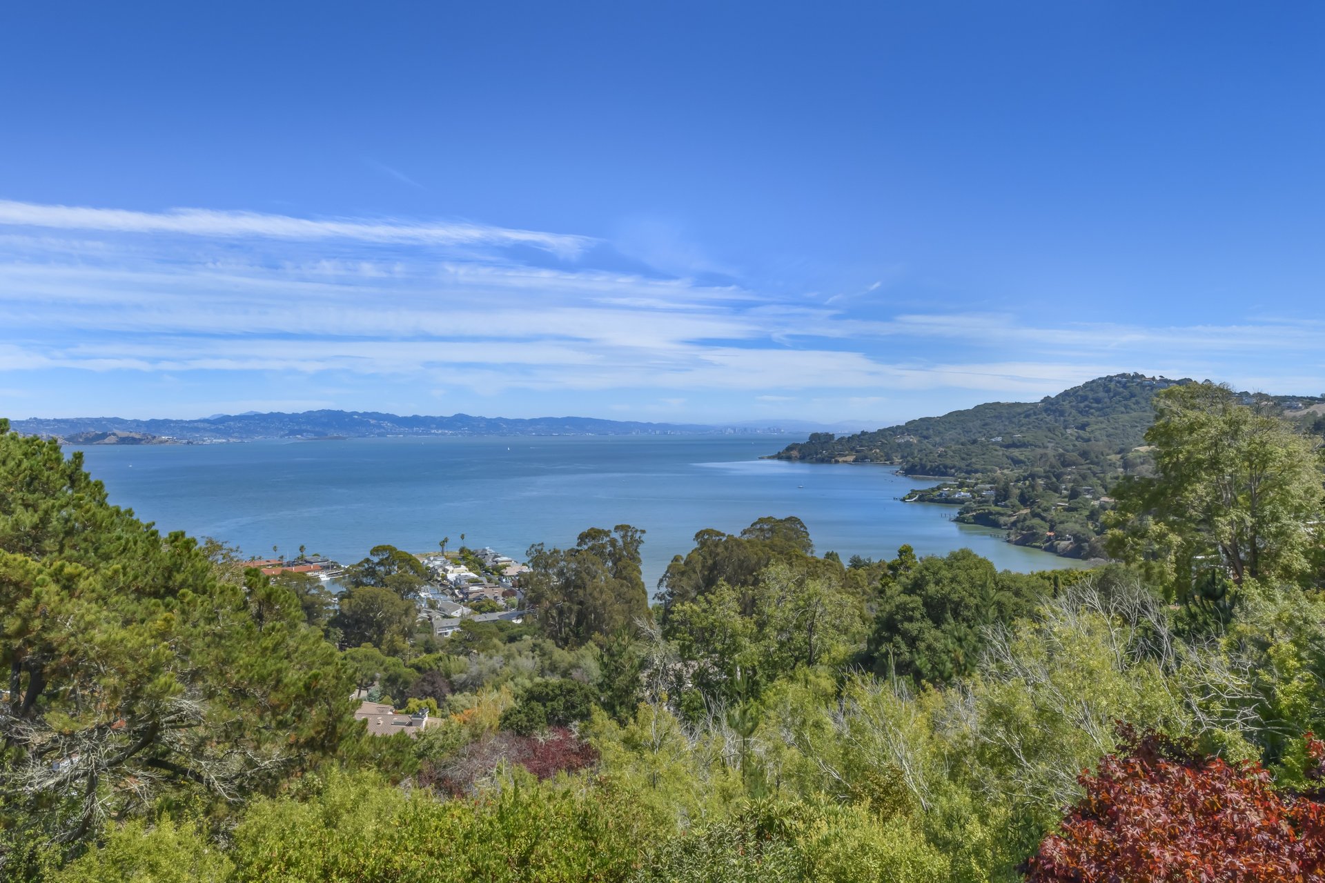 Tiburon Legacy Estate with Unparalleled Views and a Rare Connection to Nature