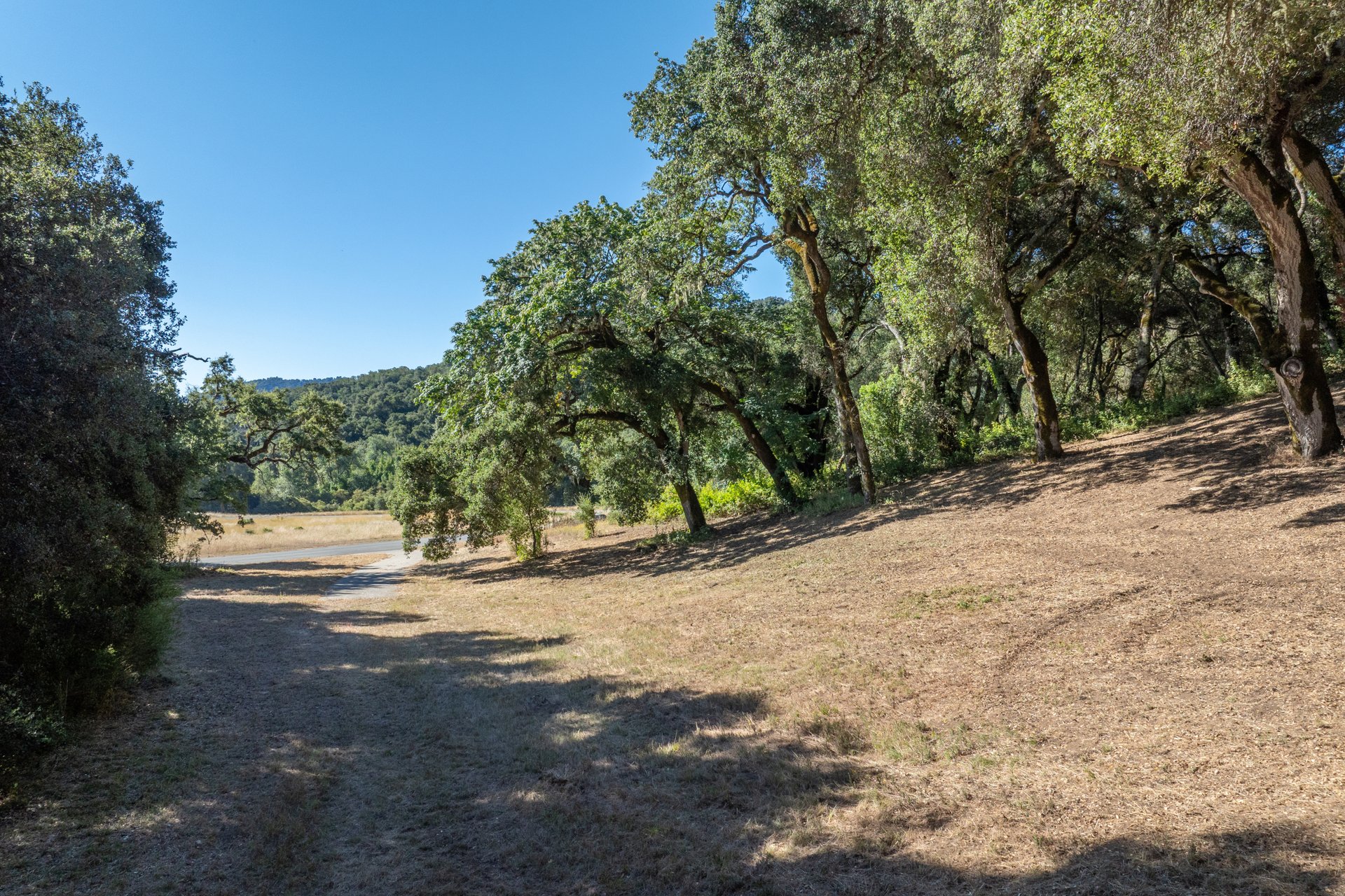 The Preserve Legacy Homesite