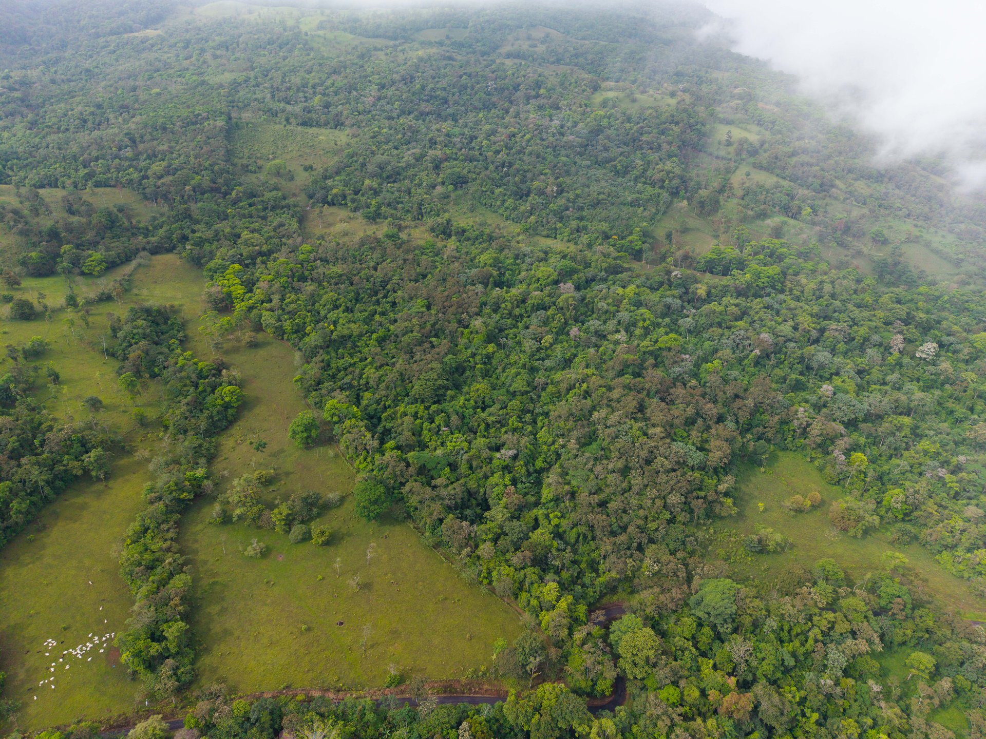 Finca Las Zompopas-Río Celeste | 113-Acre Biodiverse Property in Bijagua, Ideal for Eco-Tourism, Private Retreats, or Sustainable Development
