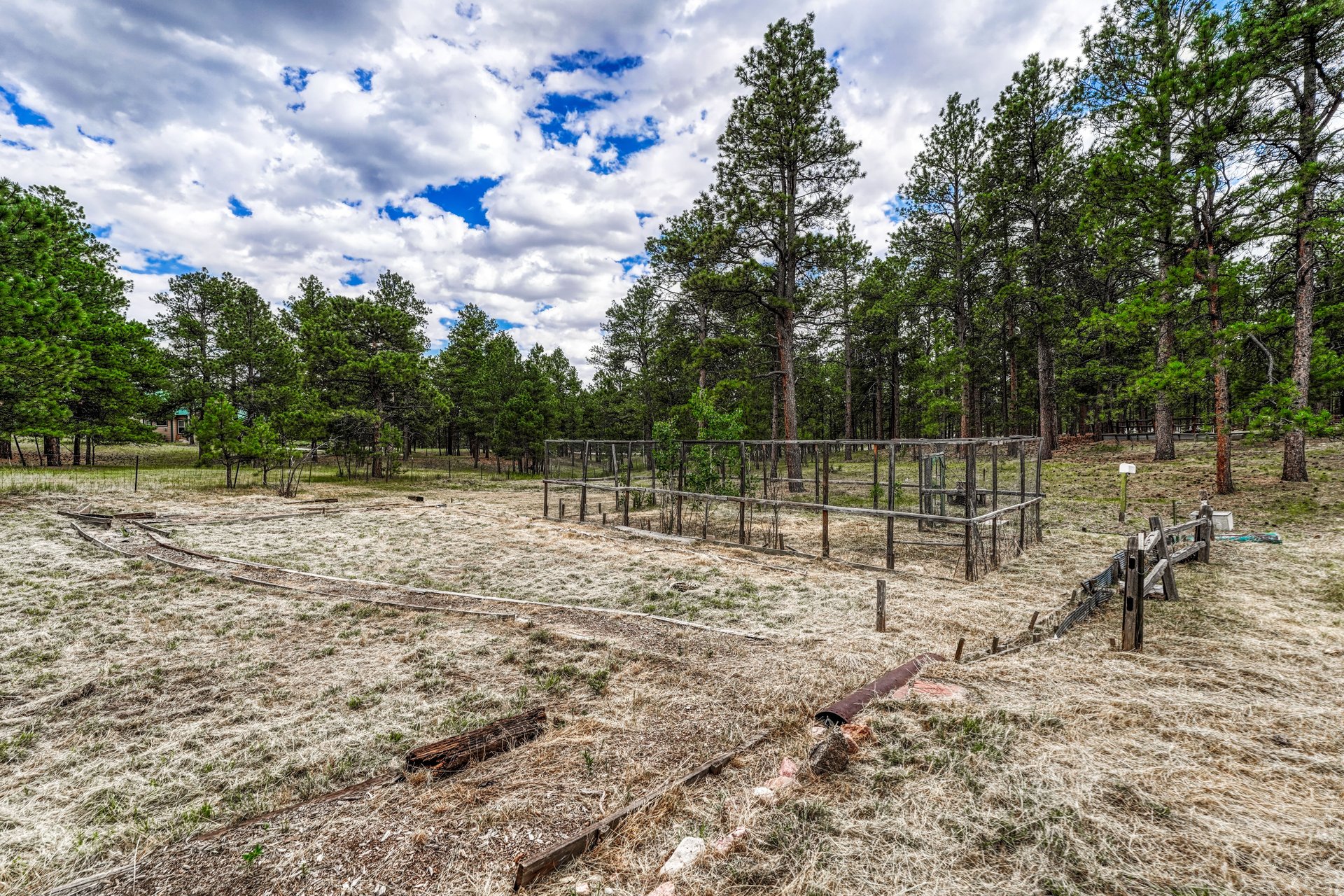 9950 Pine Park Trail