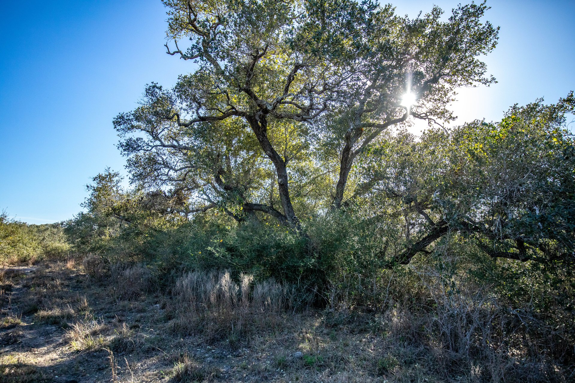 Lamar Peninsula Development Tract |  51.81± Acres | Aransas County