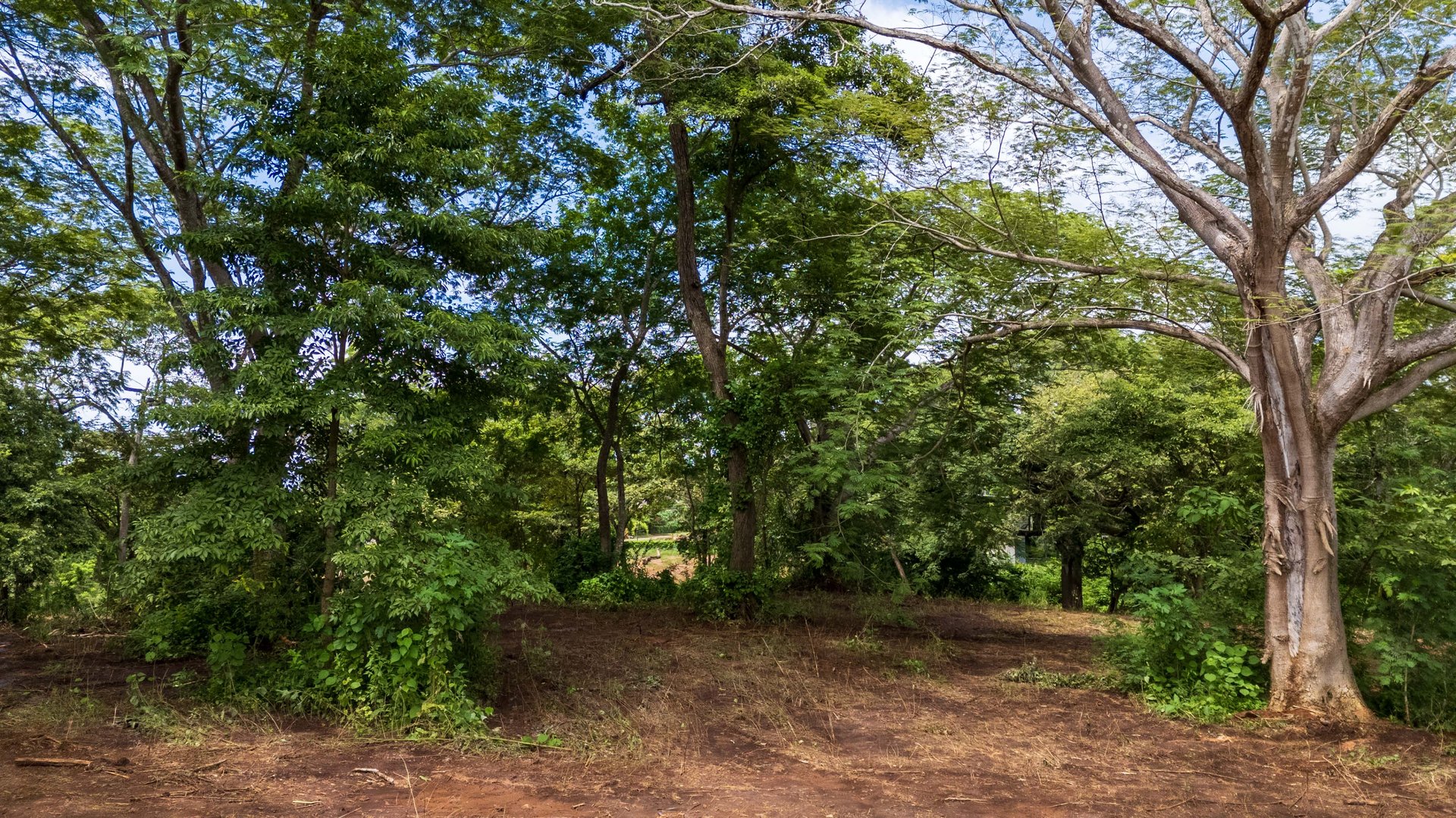 Lot Across Mar Vista | Prime 12,775 m² Development Lot Near Playa Flamingo with Subdivision Potential