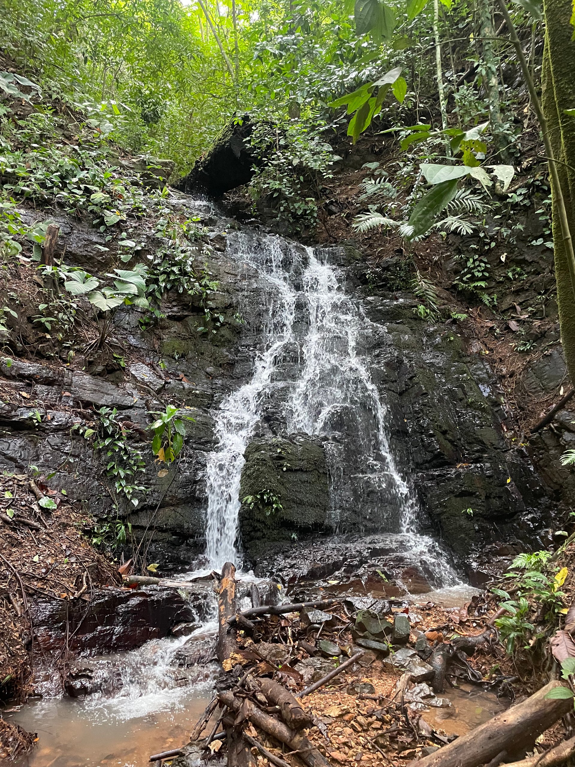 TROPICAL MASTERPIECE – 61.78 ACRES OF OCEANVIEW BLISS WITH WATERFALL