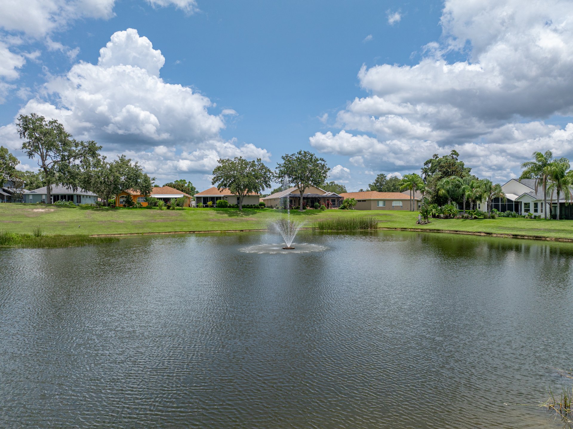 12333 WOODLANDS CIR