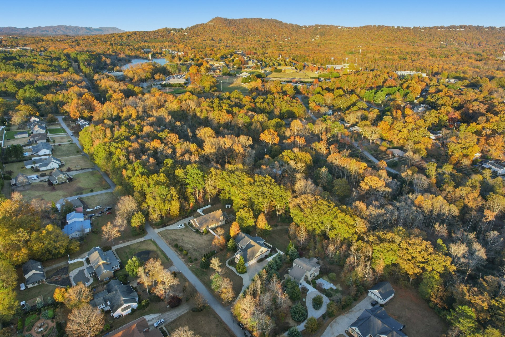 60 Montague Circle