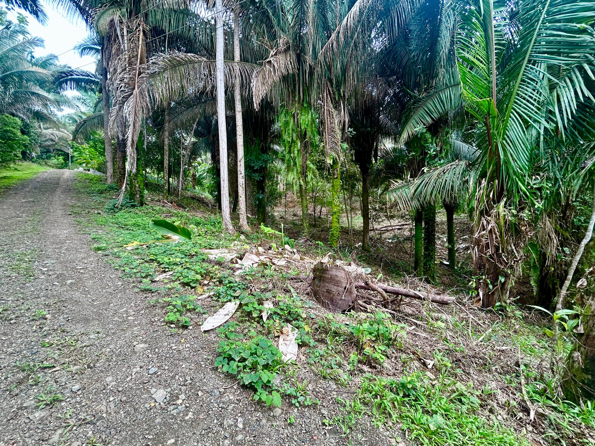 Over 1.4 Acres in Playa Hermosa – Just 5 Minutes from the Beach!