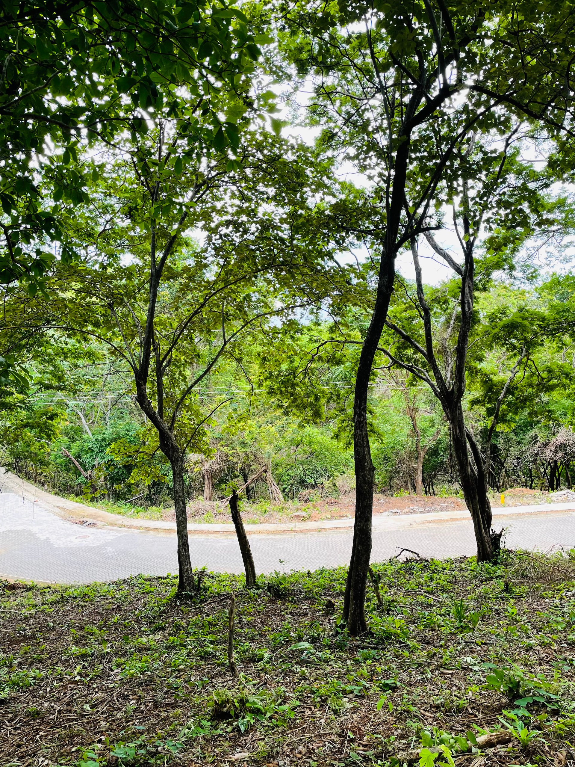 Valle Escondido