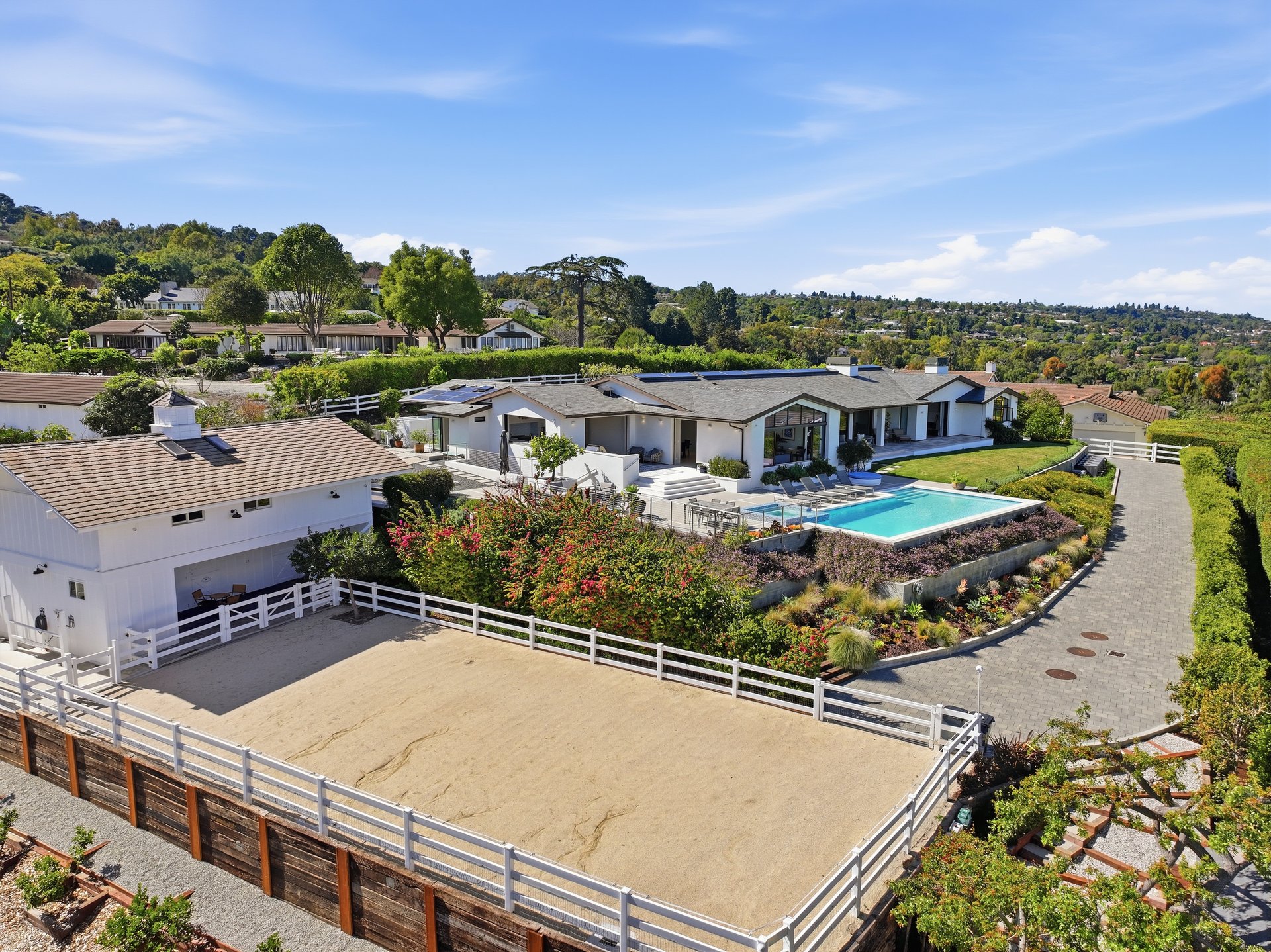 38 Saddleback