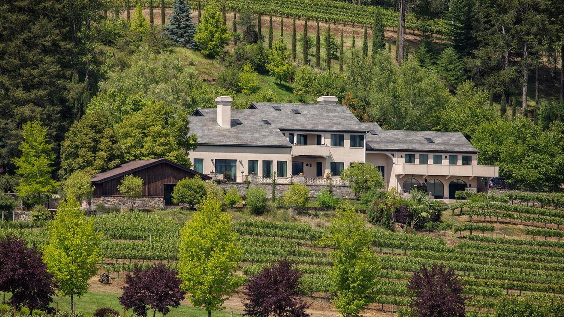 The Pezzy King Estate