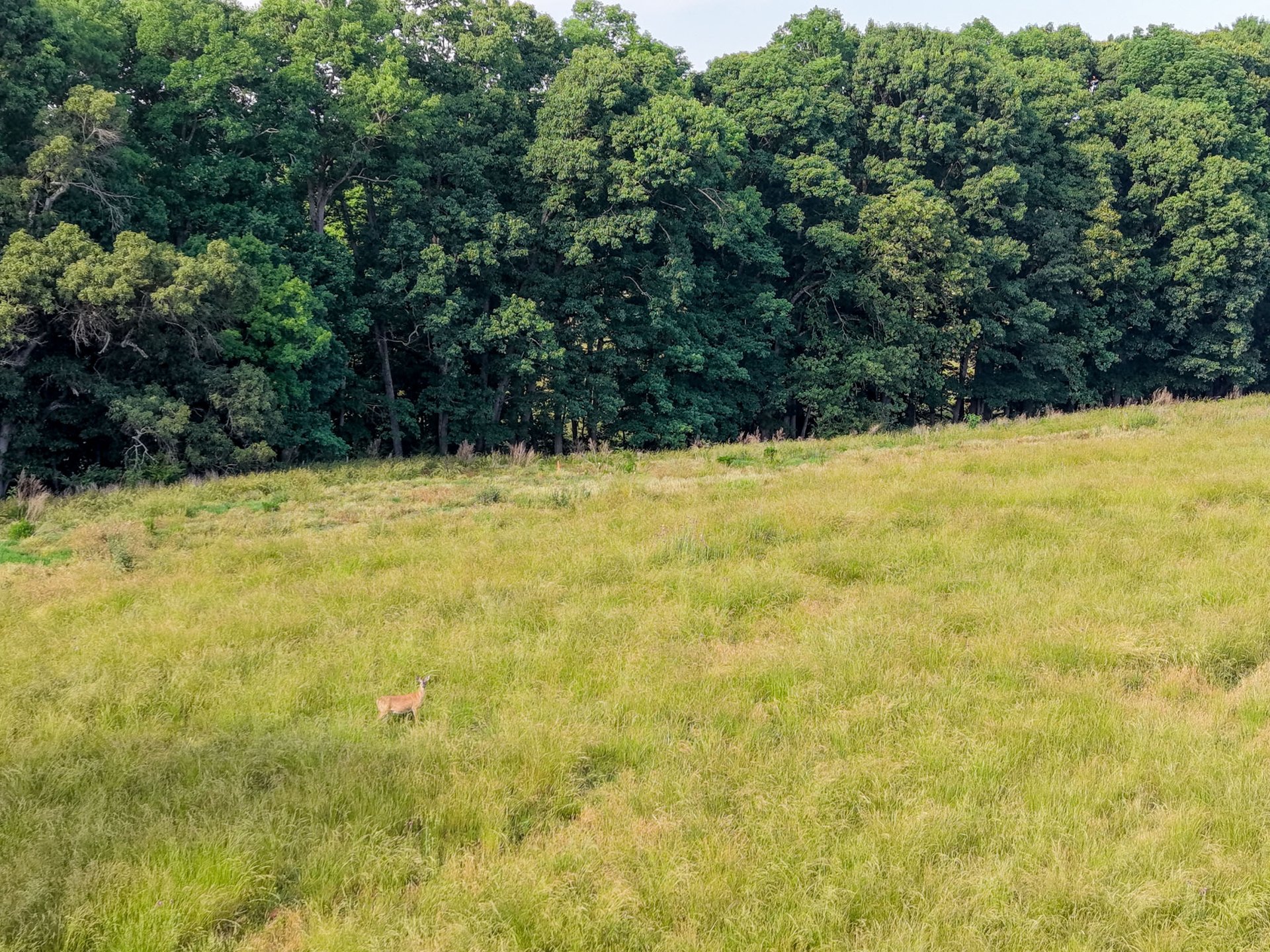 The Ranches at Sandy Creek