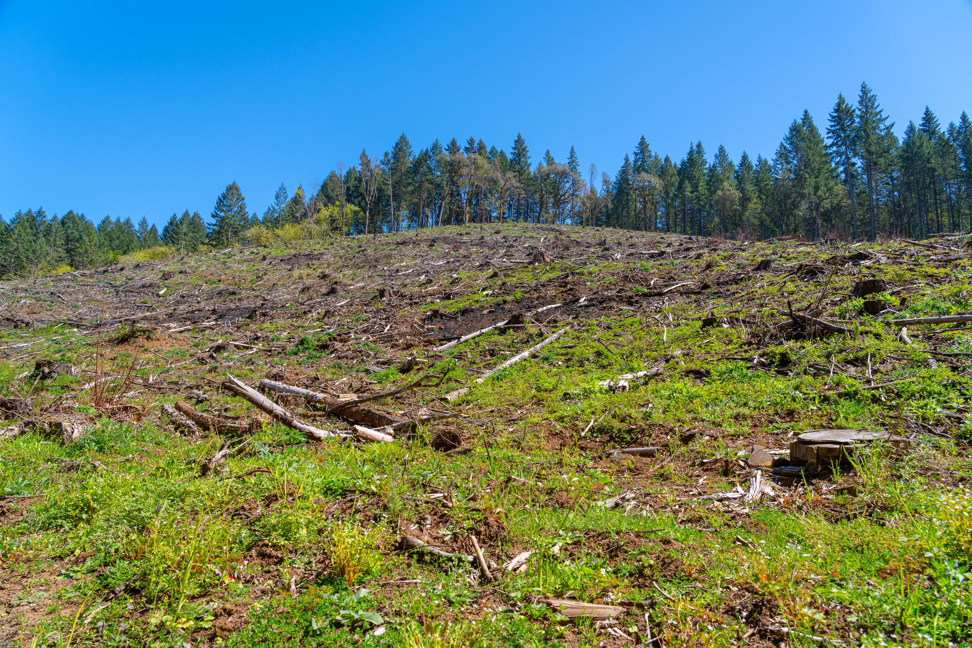Sharewater Homesite