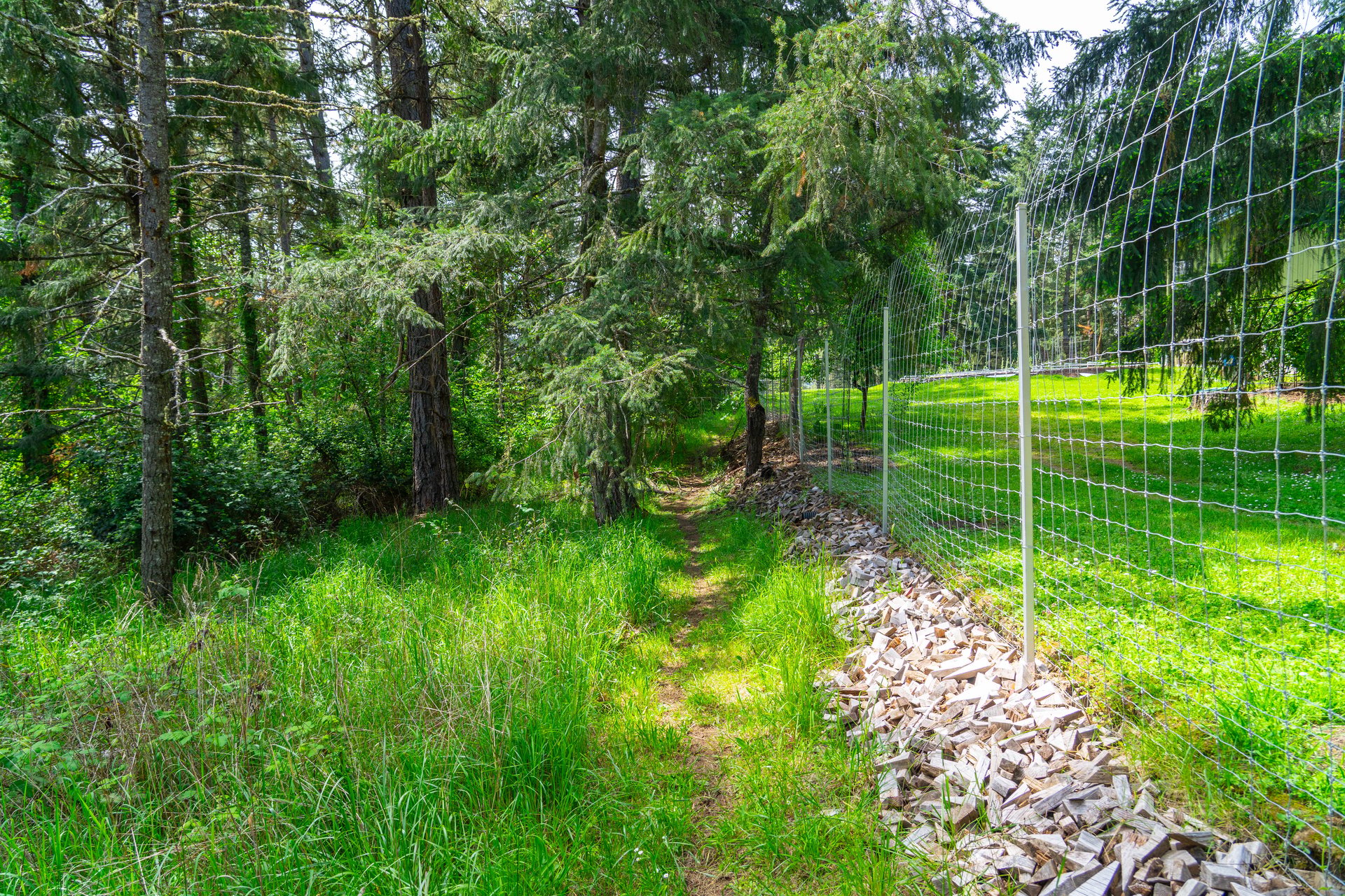 SUTHERLIN WOODLOTS