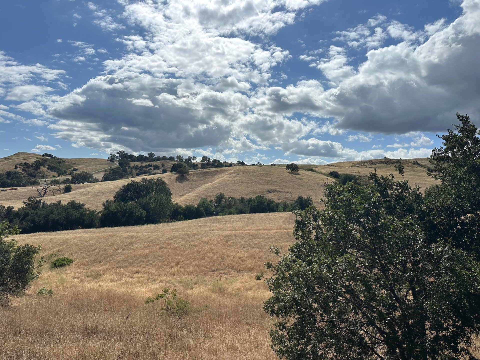 24962 Eldorado Meadow Rd