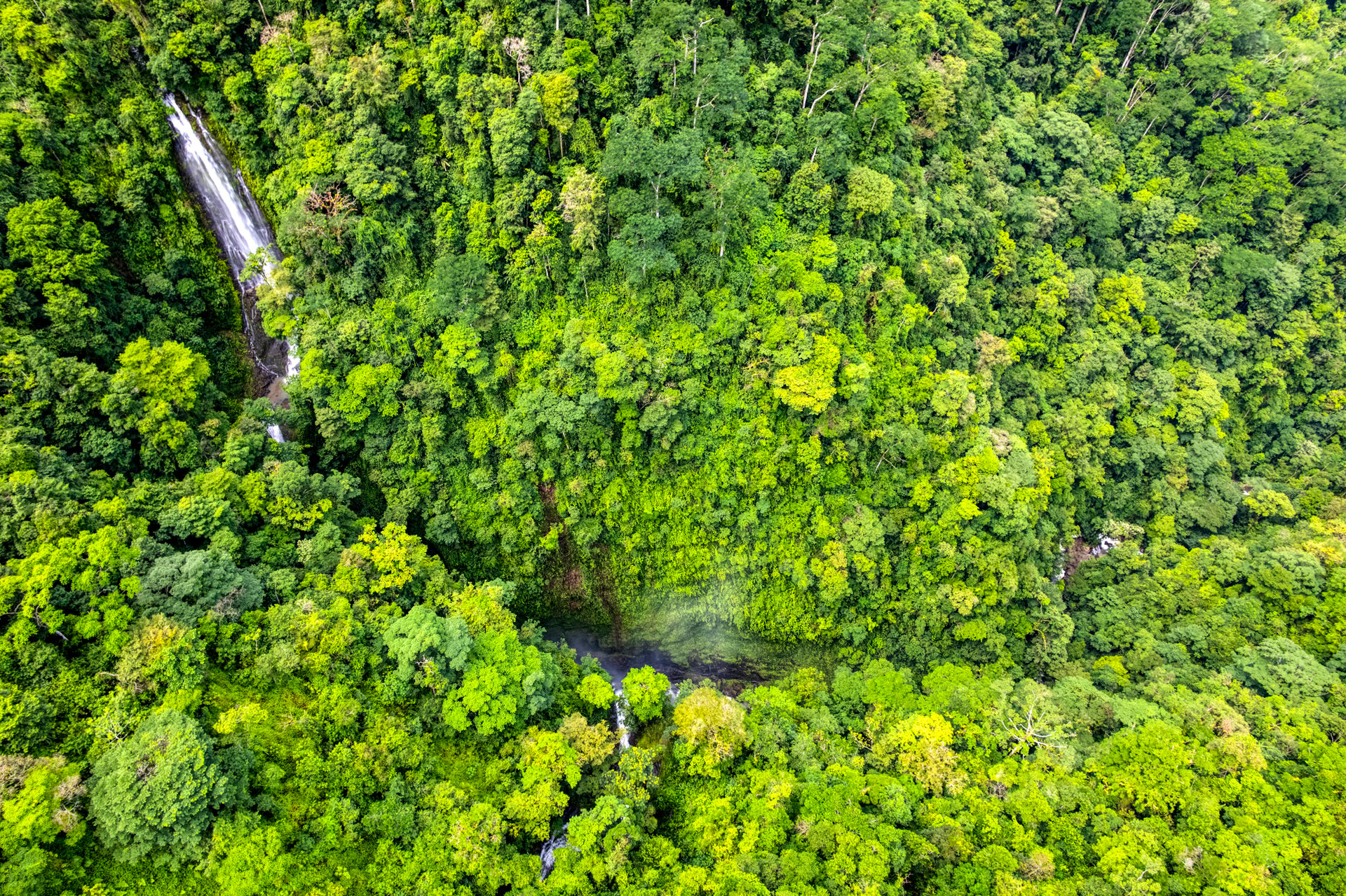 Once in a Lifetime Waterfall Farm in a Pristine Biological Corridor
