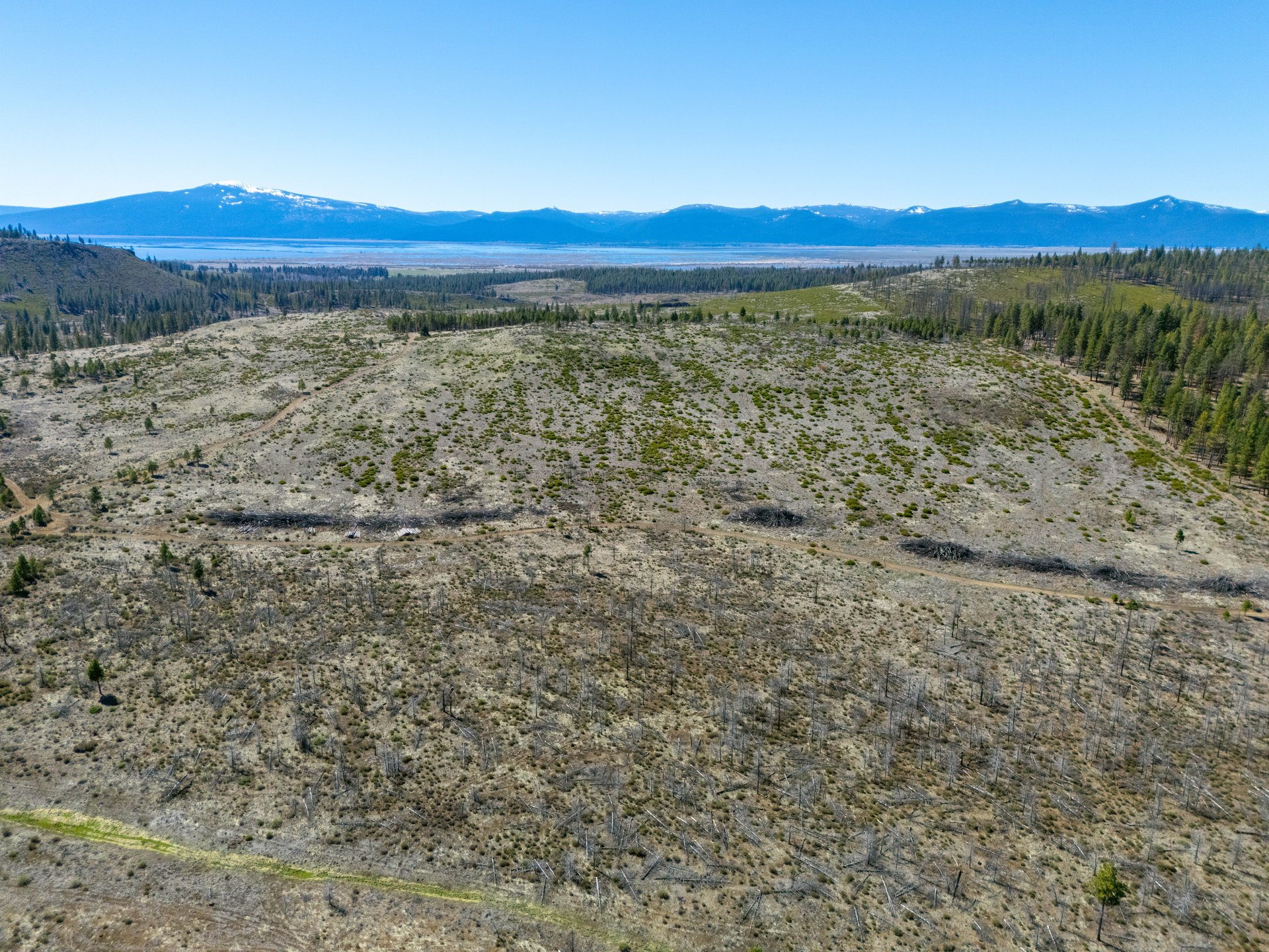 Klamath Basin