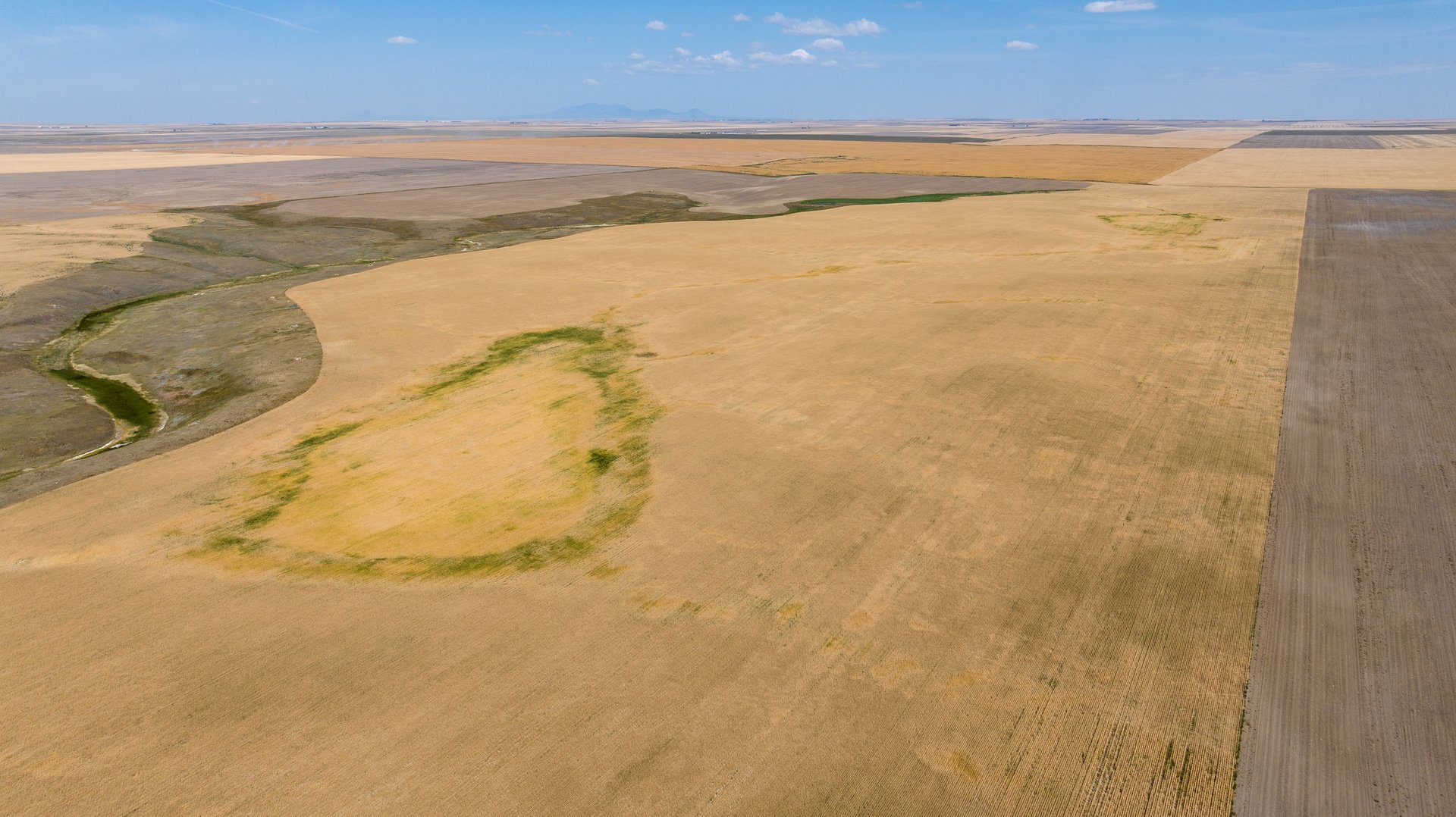 Hill County Organic & CRP Farm