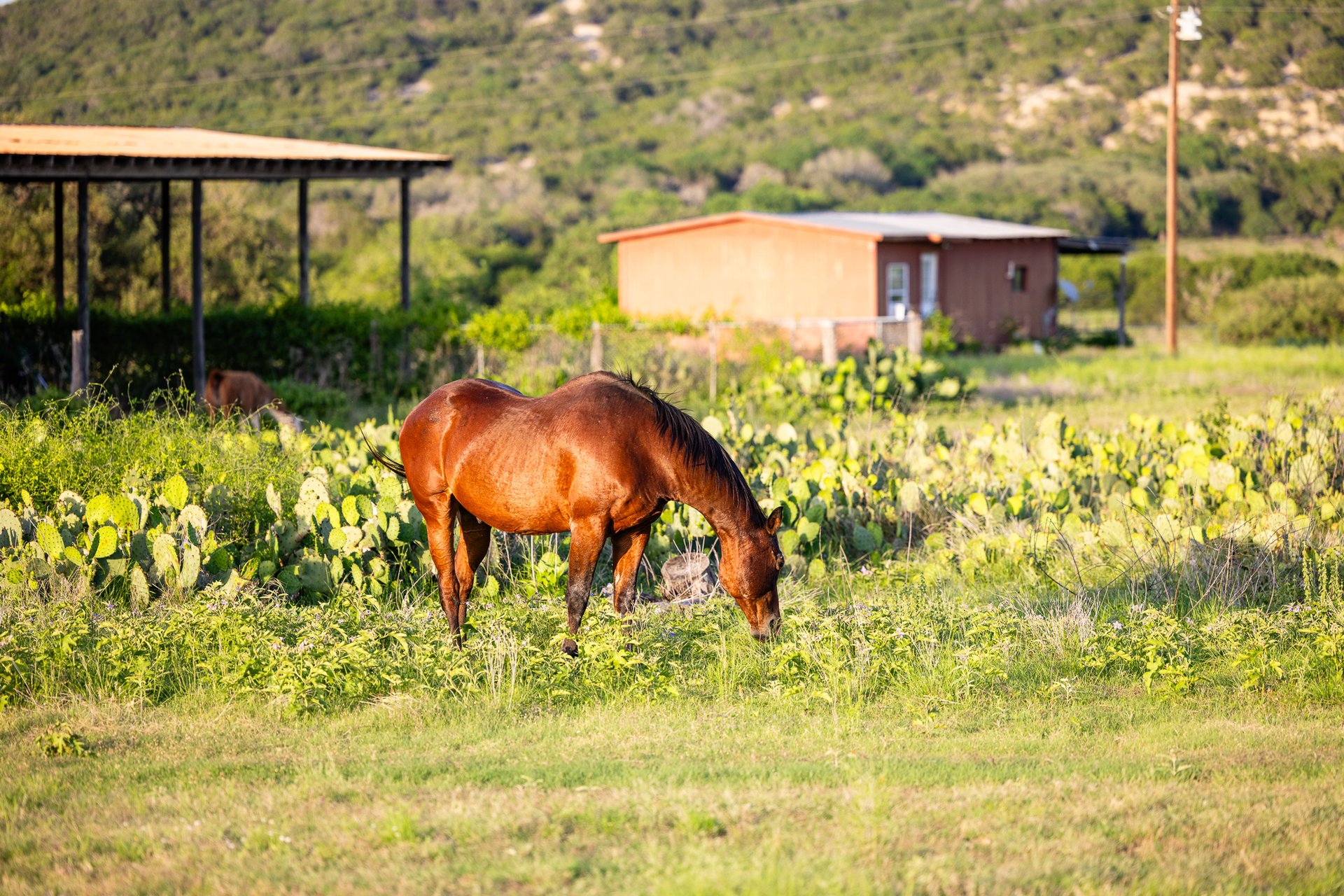 5131 FM 337