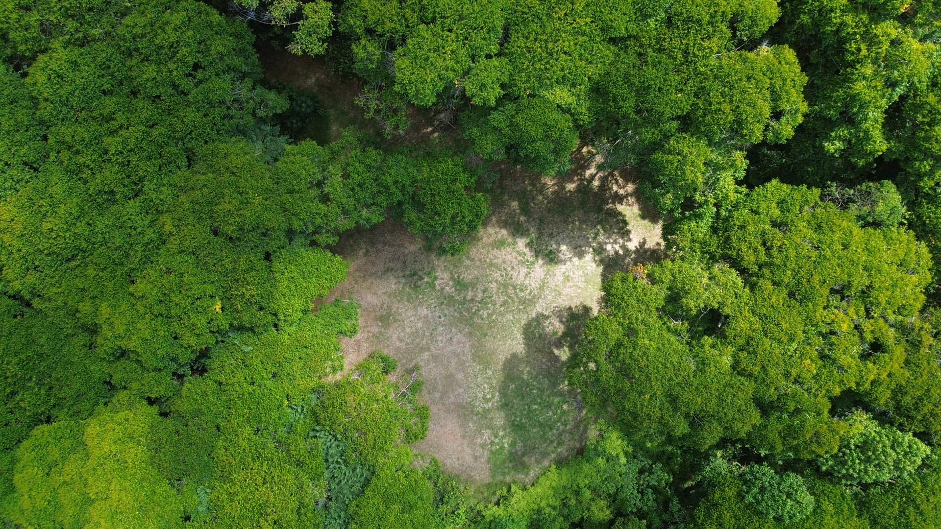 Your Private Jungle Retreat Just Minutes from Dominical