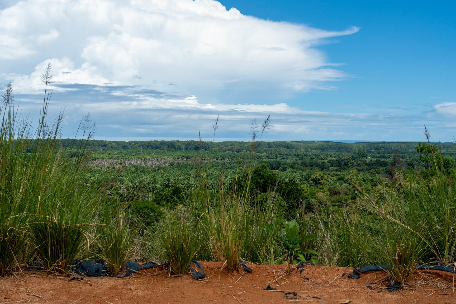 New Gated Development in Matapalo - Ocean View and Flat Land, ready to build!