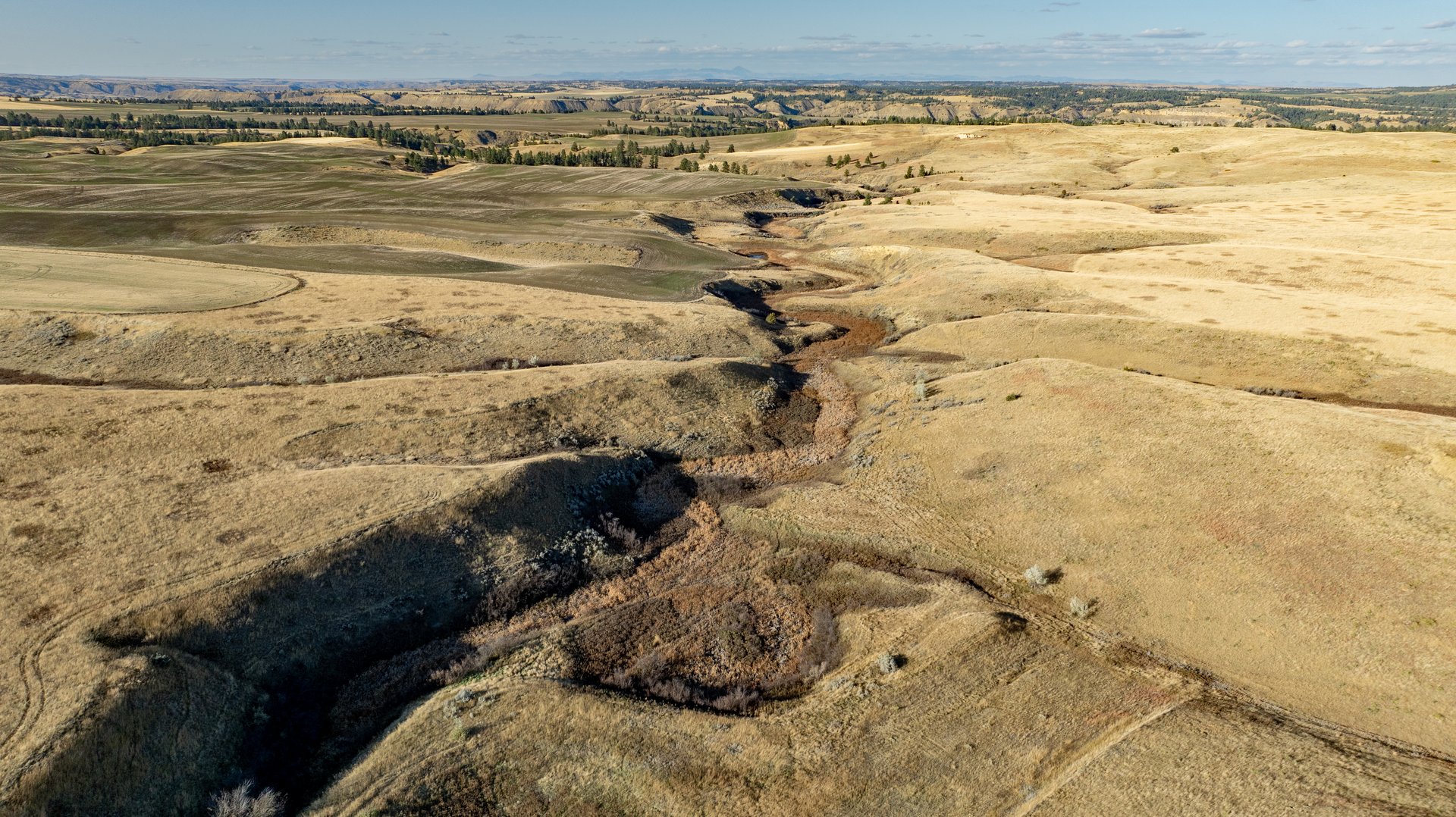 Salt Creek Ranch