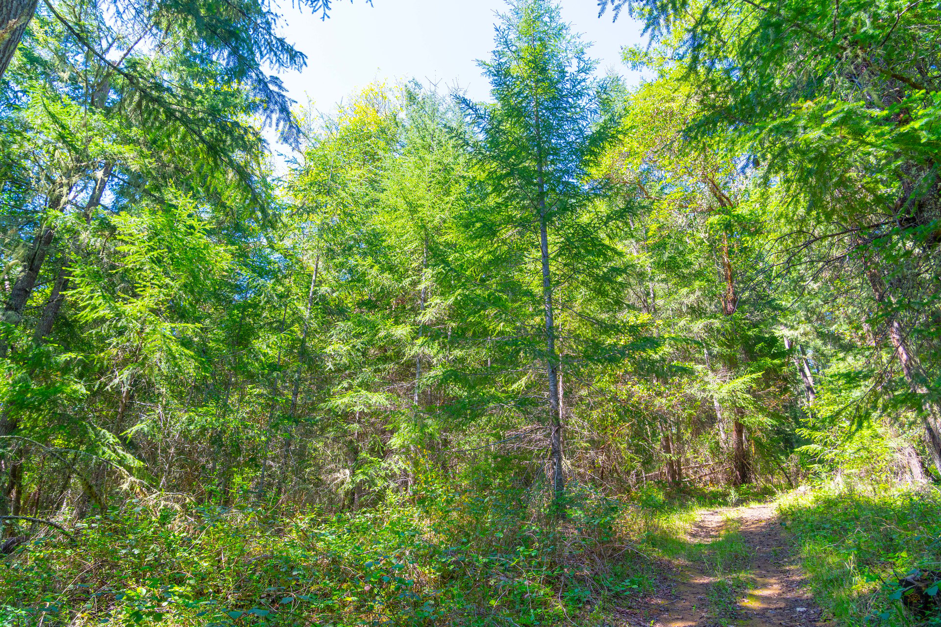 SUTHERLIN HEIGHTS
