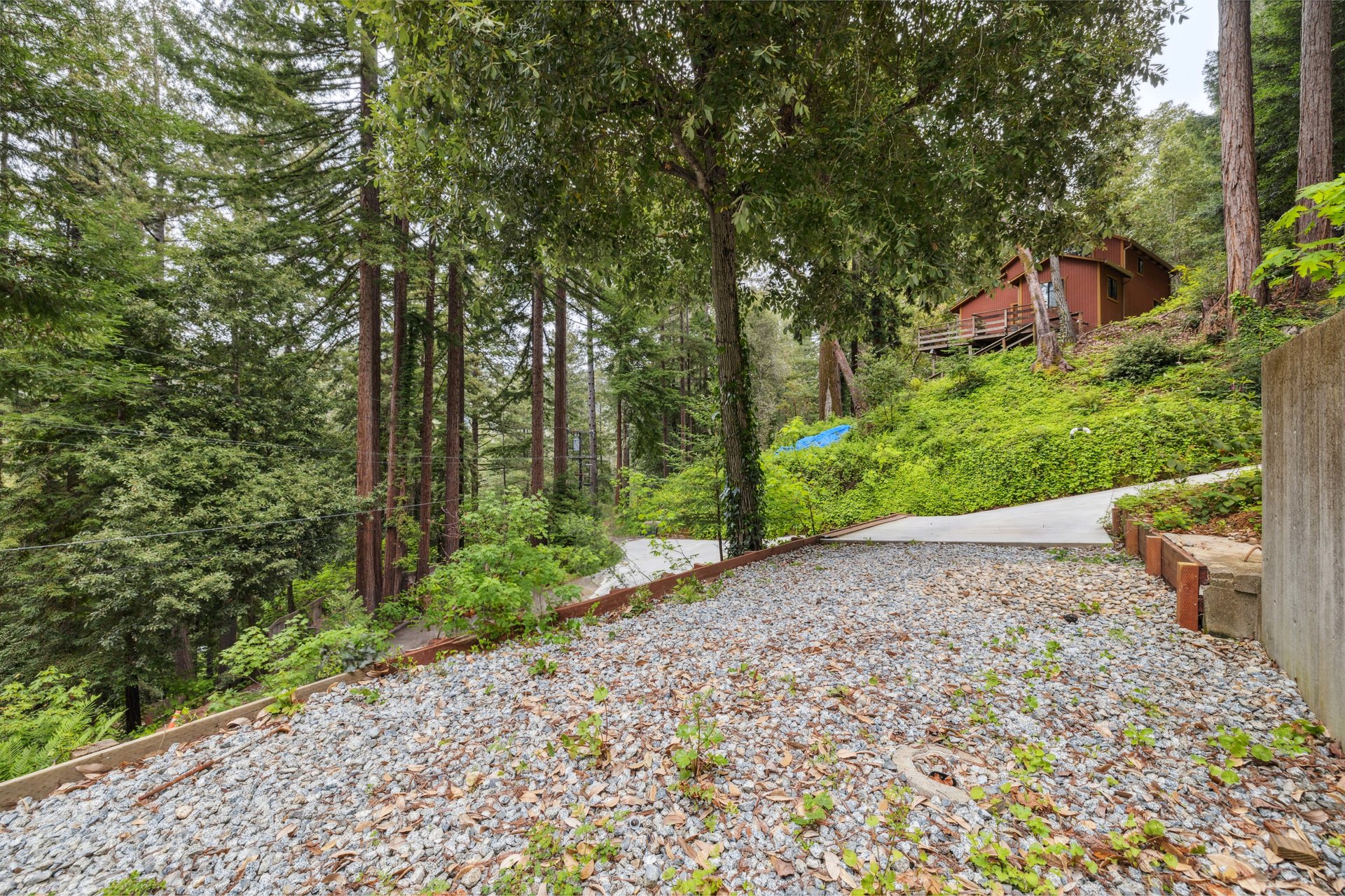 11691 Alta Via