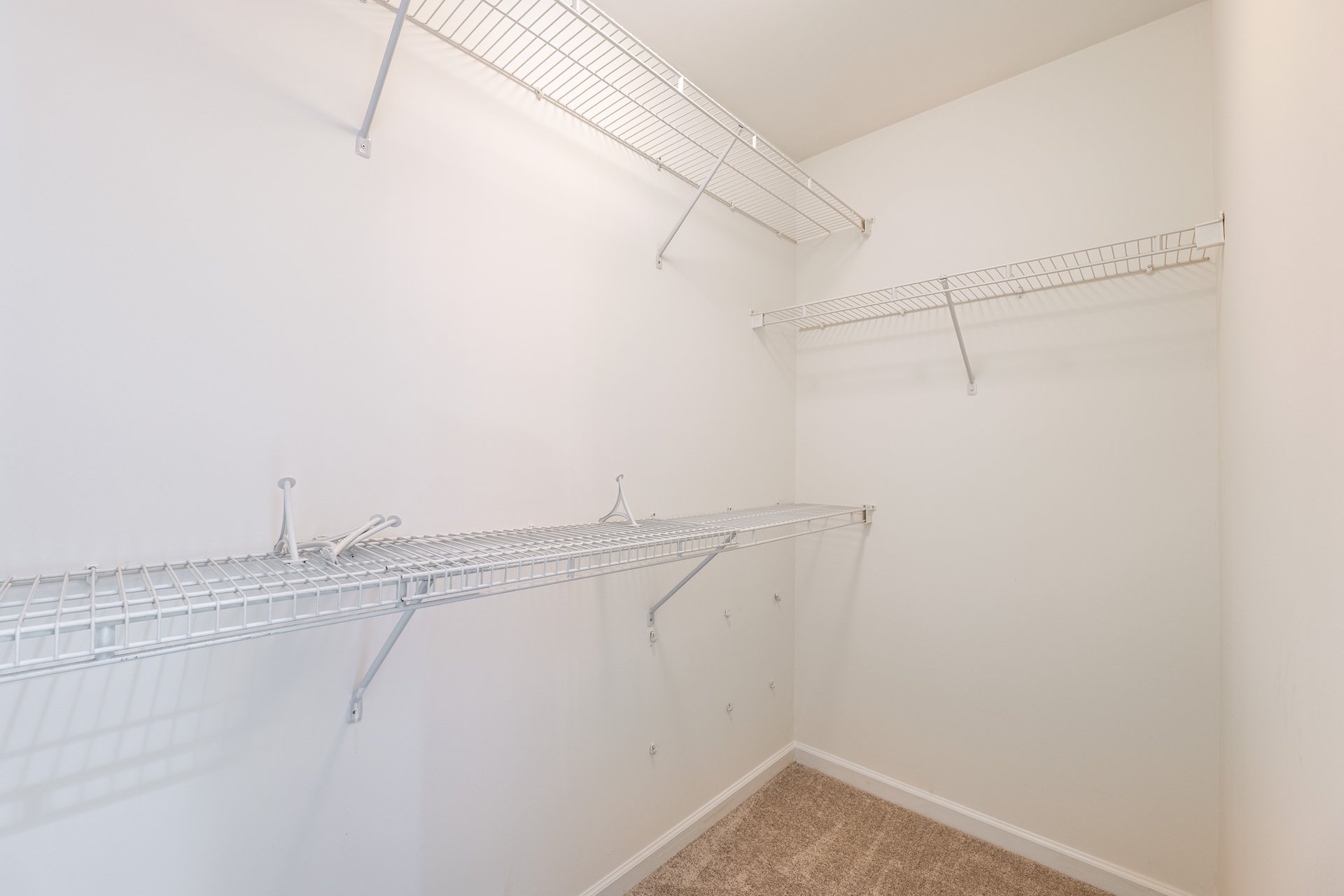 403 Tea Olive Court