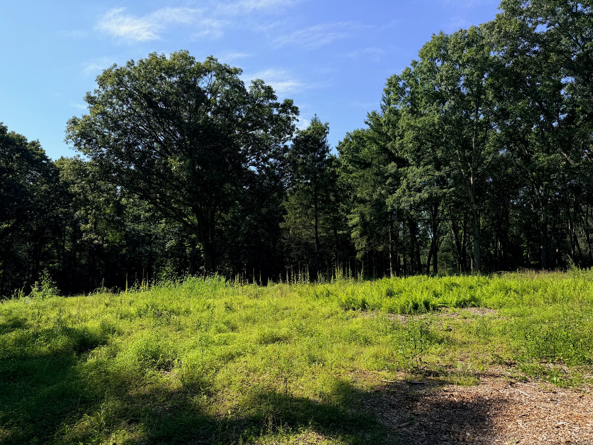 340 Haines Road
