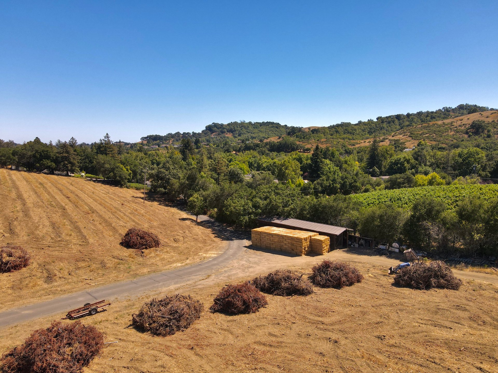 Tambor Vineyard Estate