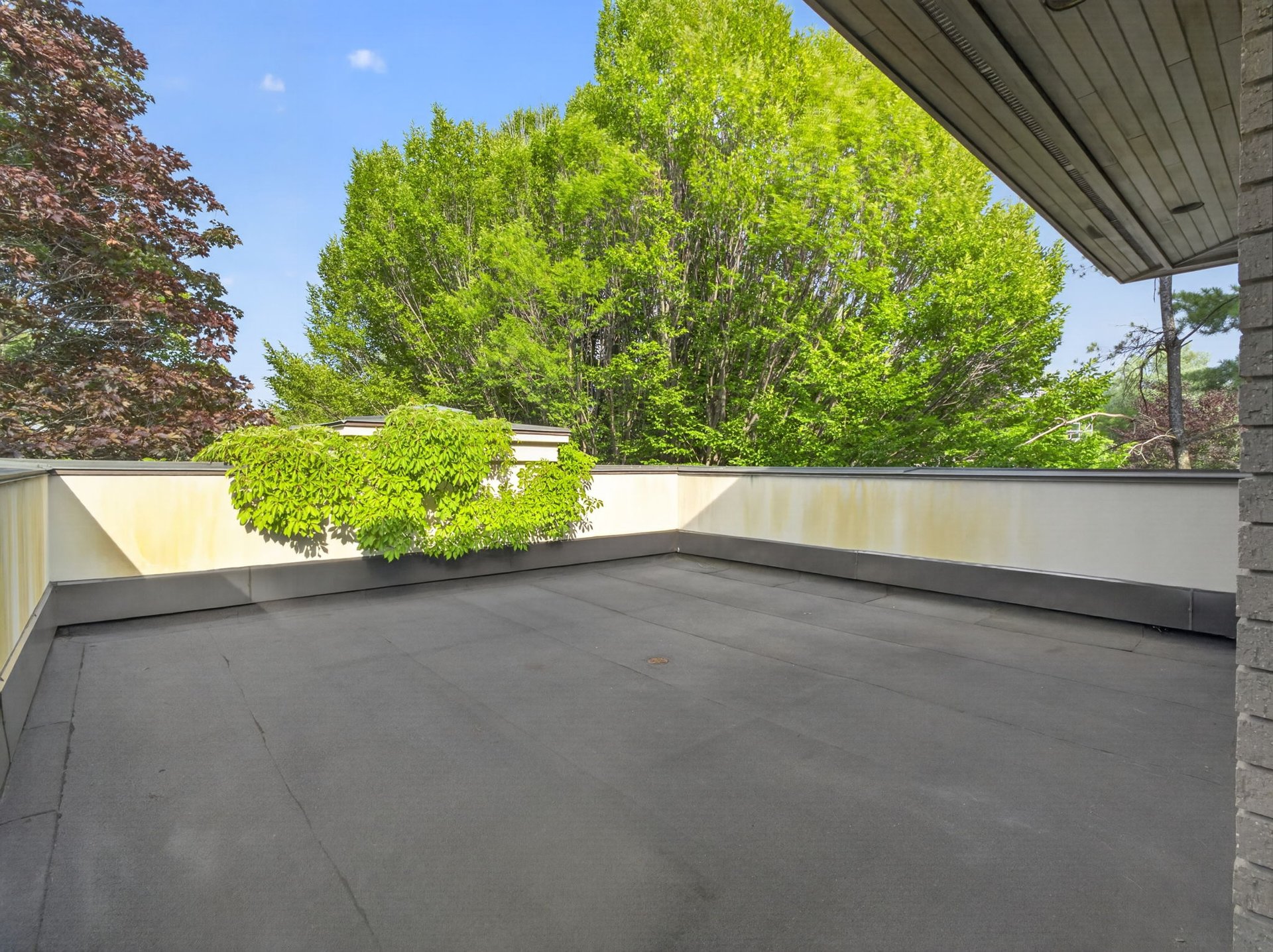 Timeless Transitional Architecture
