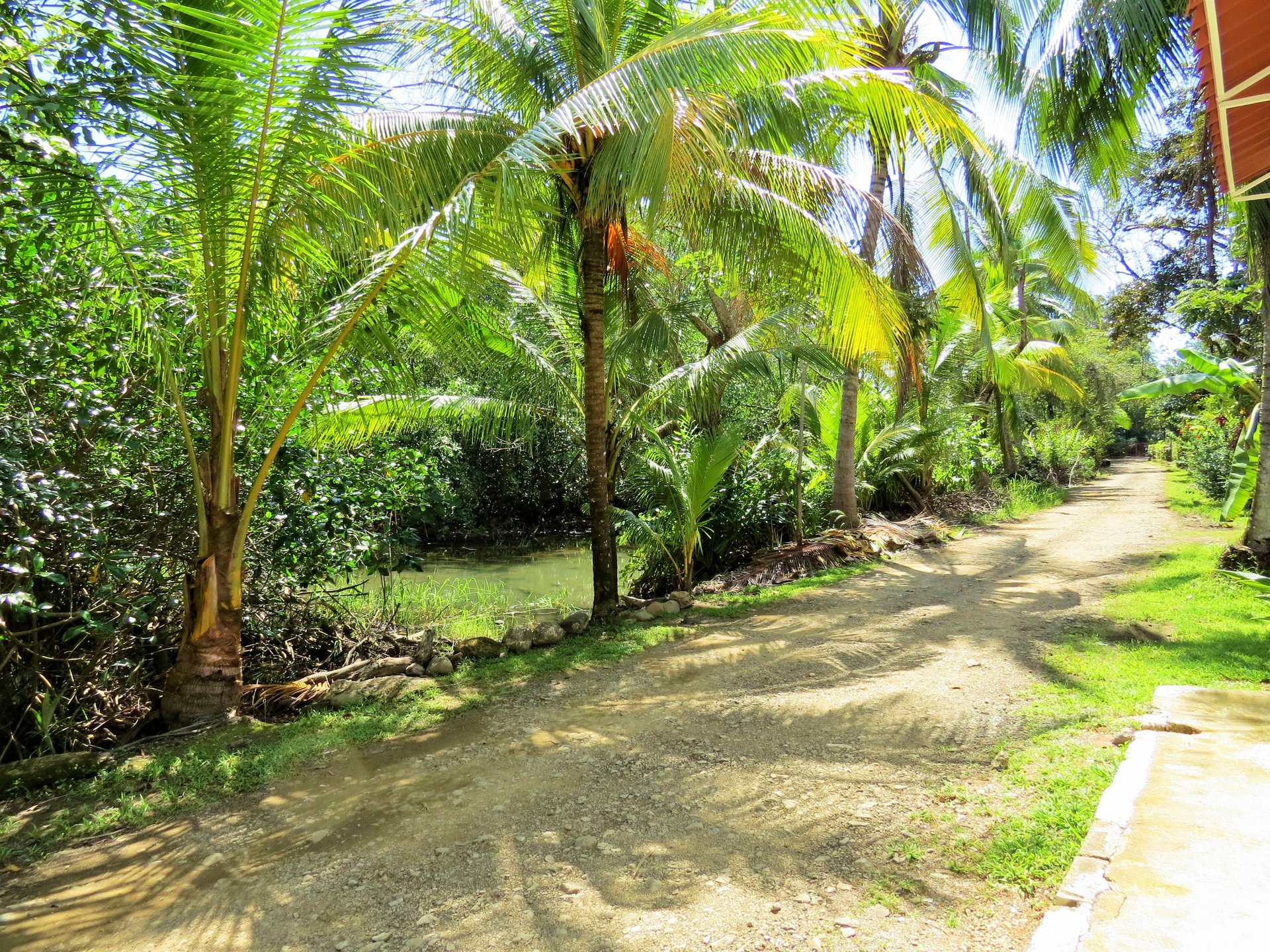 Fully equipped 4 Unit Apartment/Hotel complex 70 meters from the entrance to world-famous Marino Ballena National Park