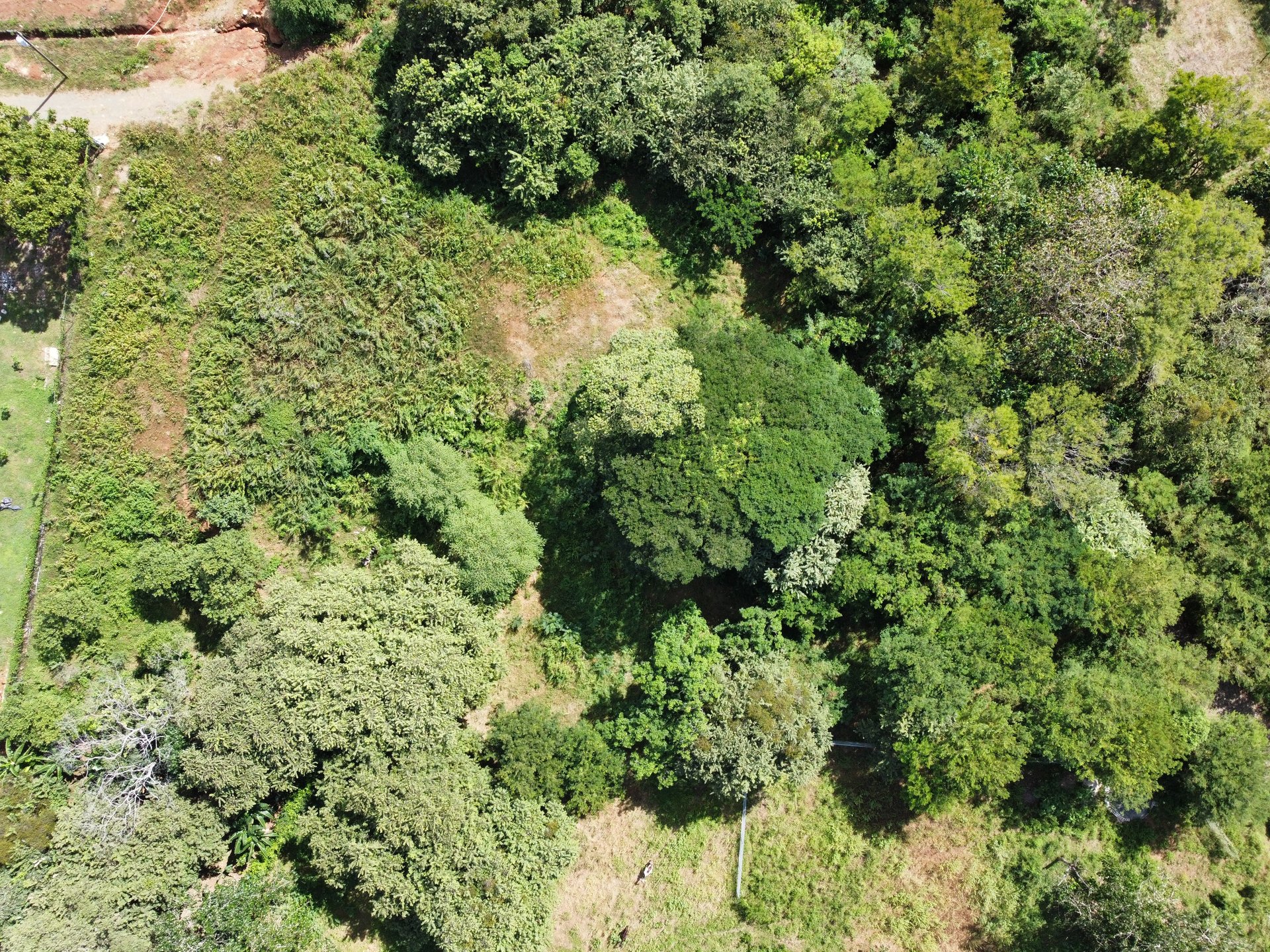 Private Jungle Estate Land in Vistas de Flamingo, Guanacaste, Costa Rica