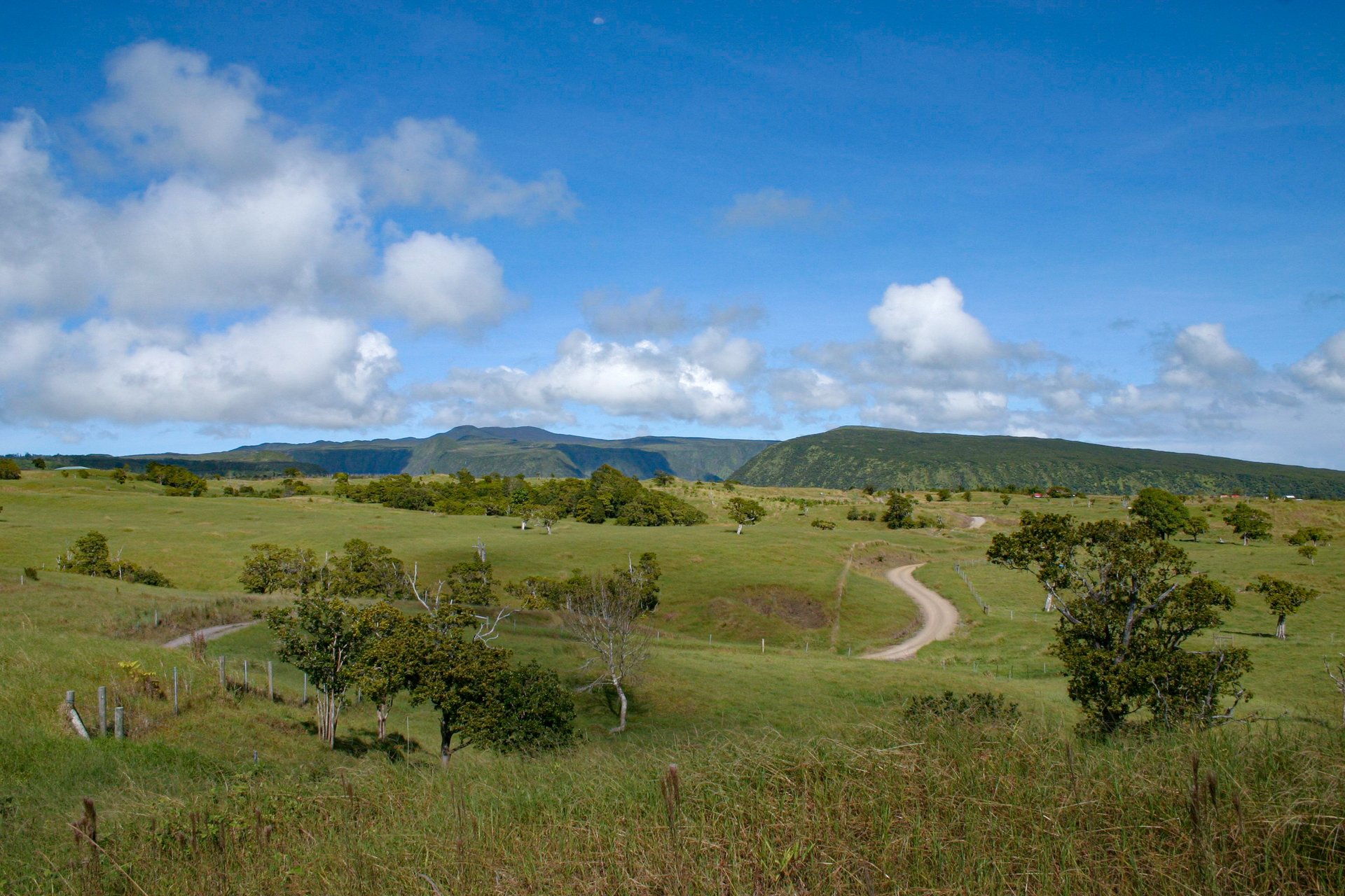 Waipi'o Valley Reserve