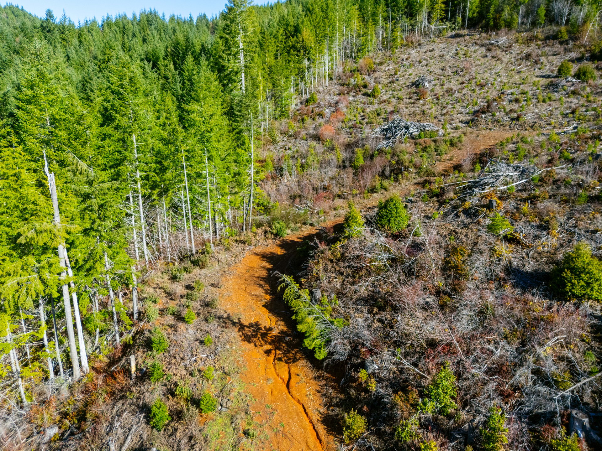 RICHARDSON TIMBER