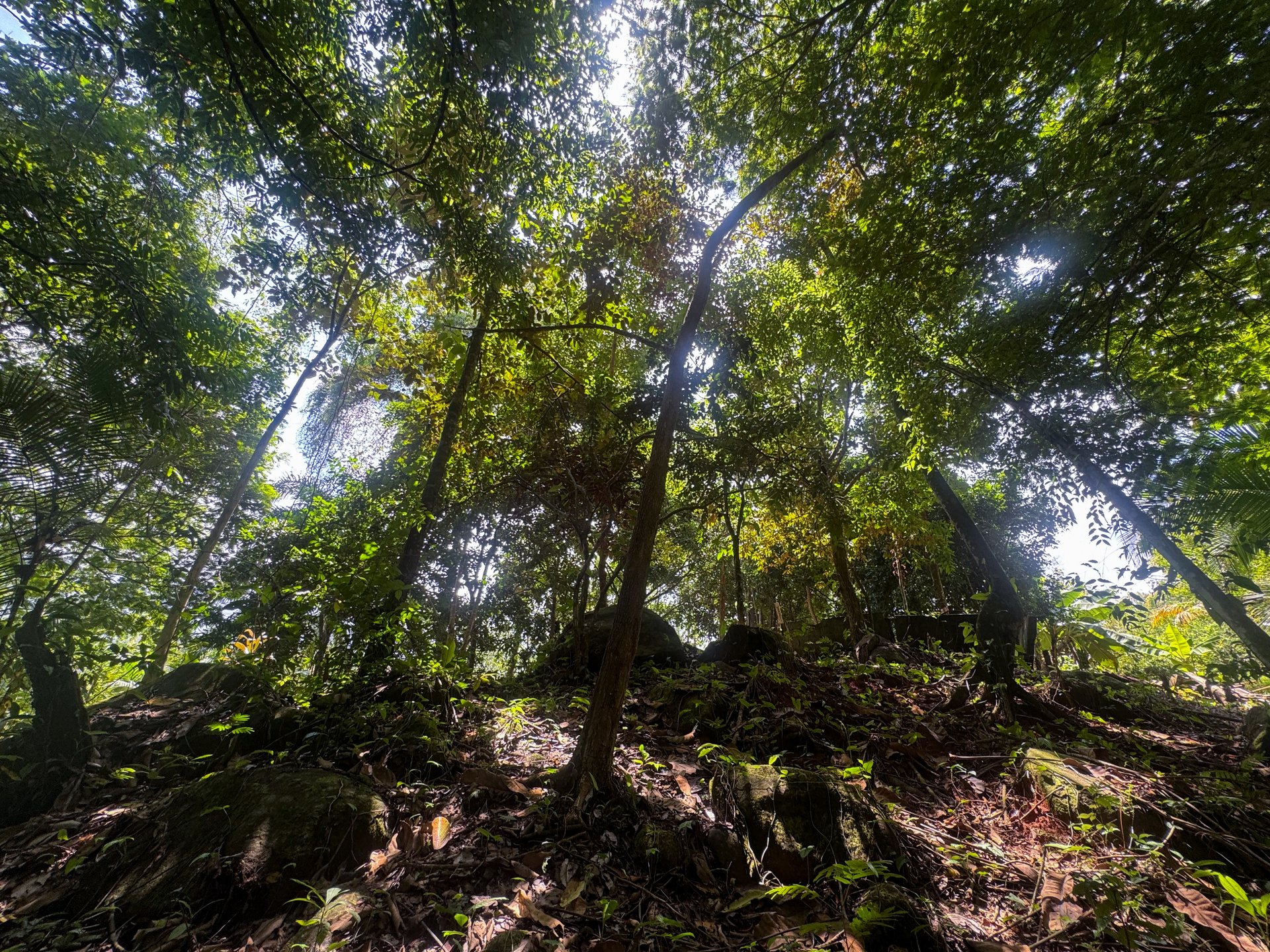 1.2- ACRE Mountain View Property with creek in  La Union Road, Uvita