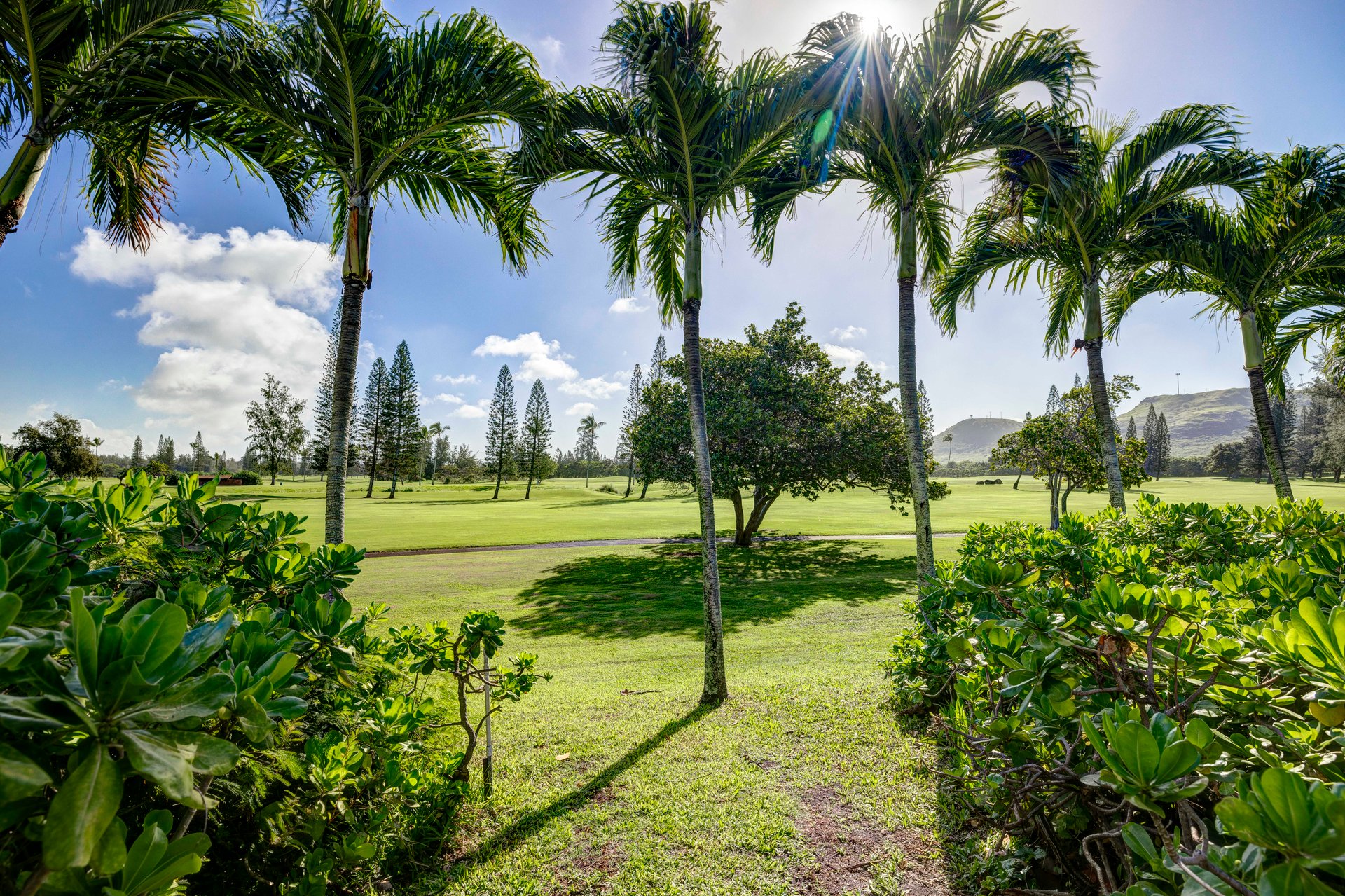Turtle Bay Kuilima Collection 101 East