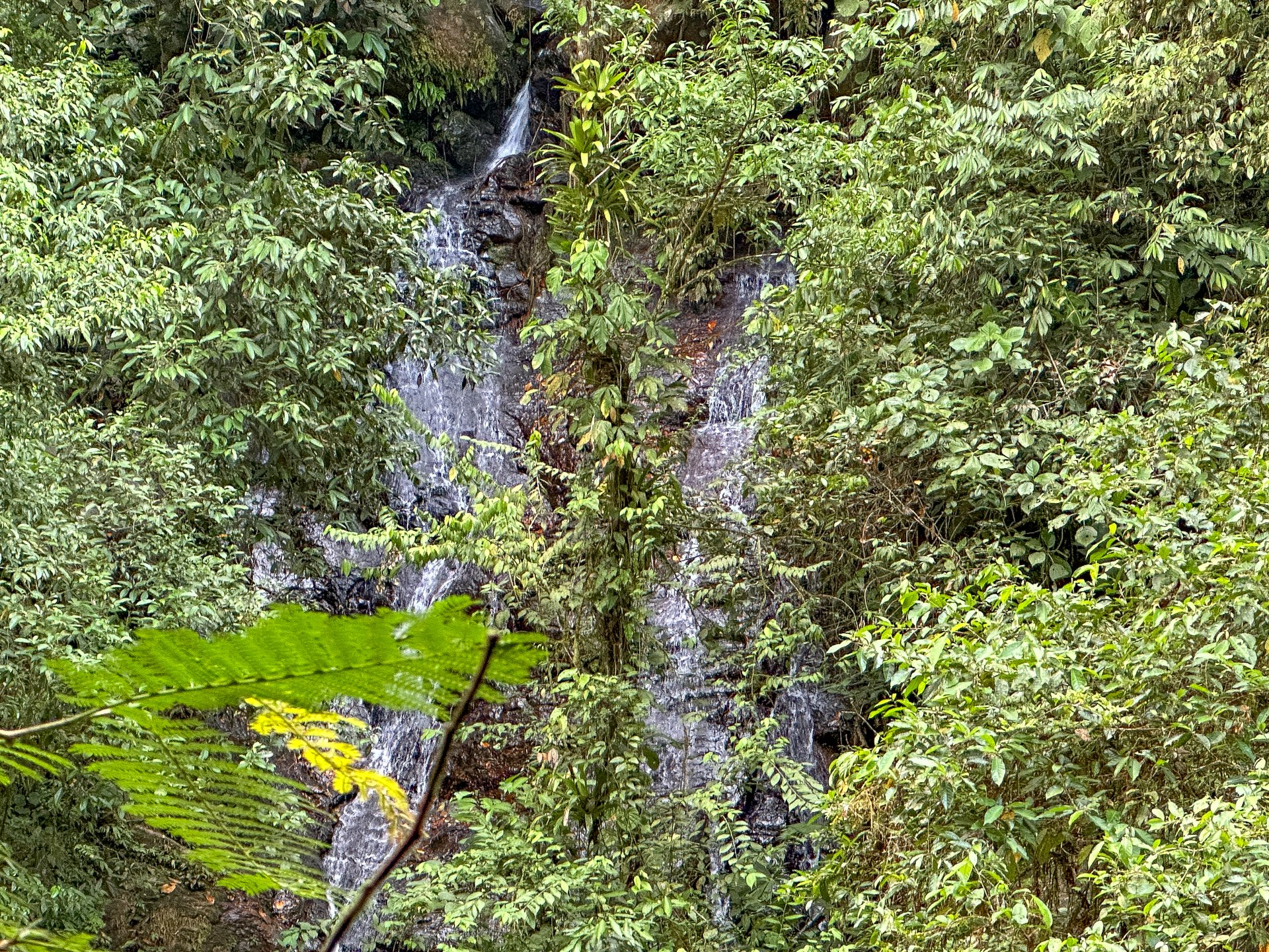 Jungle, Mountain & Valley View Lot with Two Large Plantels, Bordering a Crystal Mountain River with Swimholes & a Waterfall