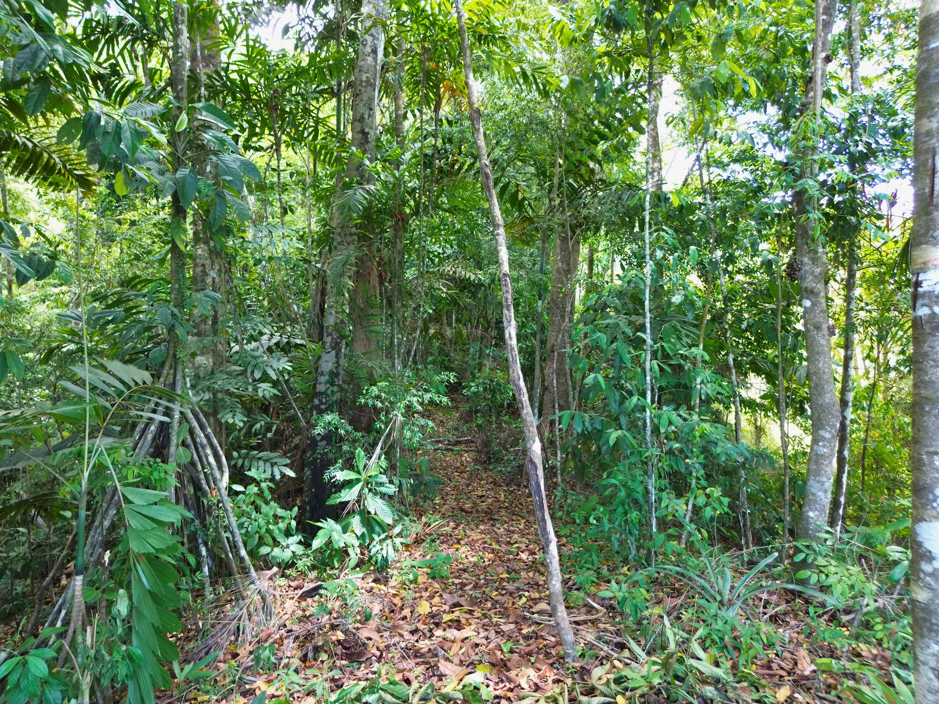 Ocean View Land for Sale in Uvita San Josecito with Whale Tail Views and Gated